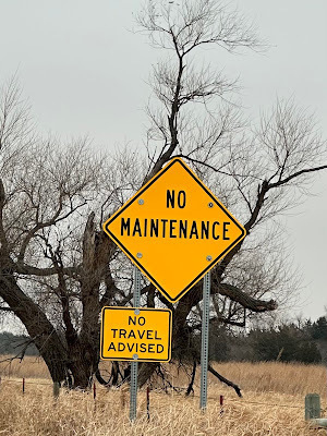 Auto-generated description: A large yellow sign reads NO MAINTENANCE above a smaller sign stating NO TRAVEL ADVISED against a backdrop of barren trees and dry grass.