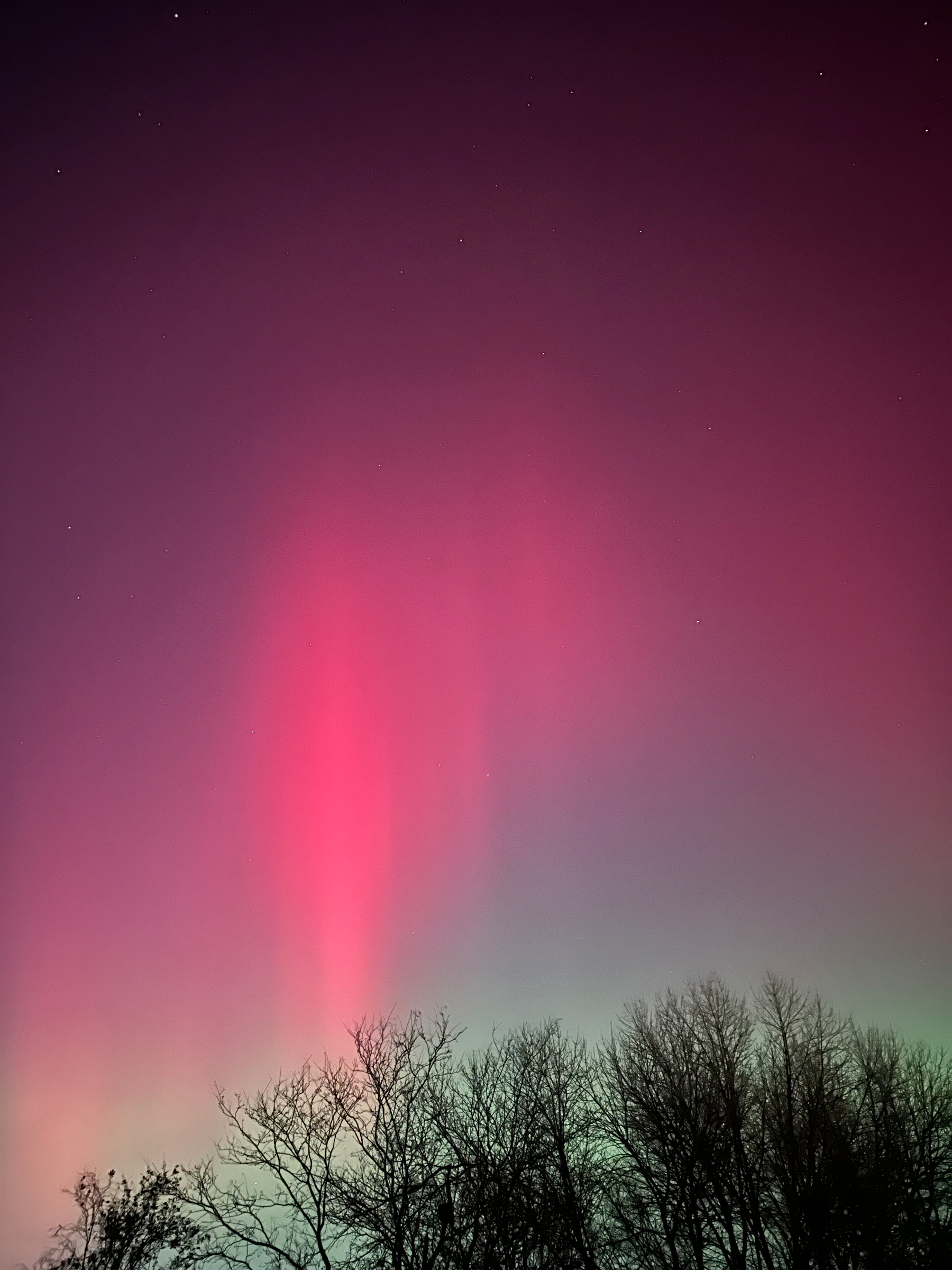 Vibrant pink and purple auroras illuminate the night sky above a silhouette of trees.