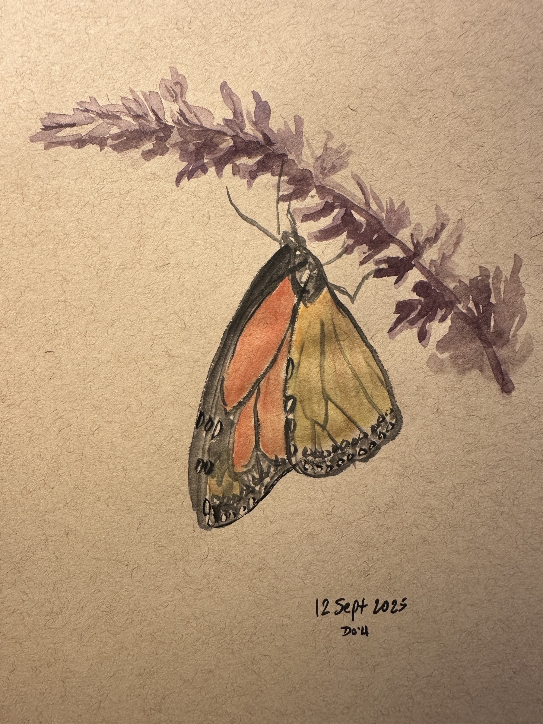 A watercolor painting depicts a butterfly with orange and yellow wings resting on a purple branch, with the date "12 Sept 2025" noted below.