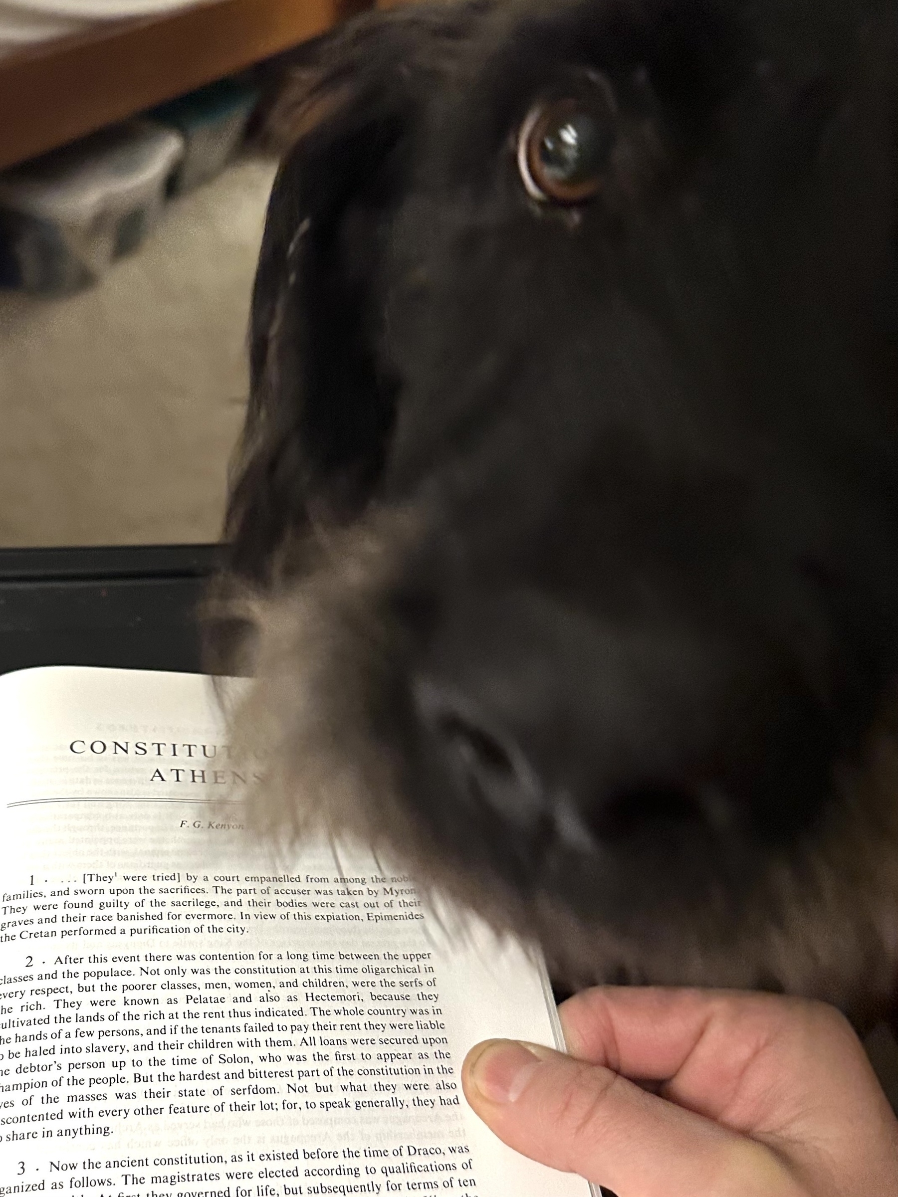 A copy of Aristotle’s Constitution of Athens being held open on the reader’s lap while a black dog places its head on top of the book and looks up at the reader. 