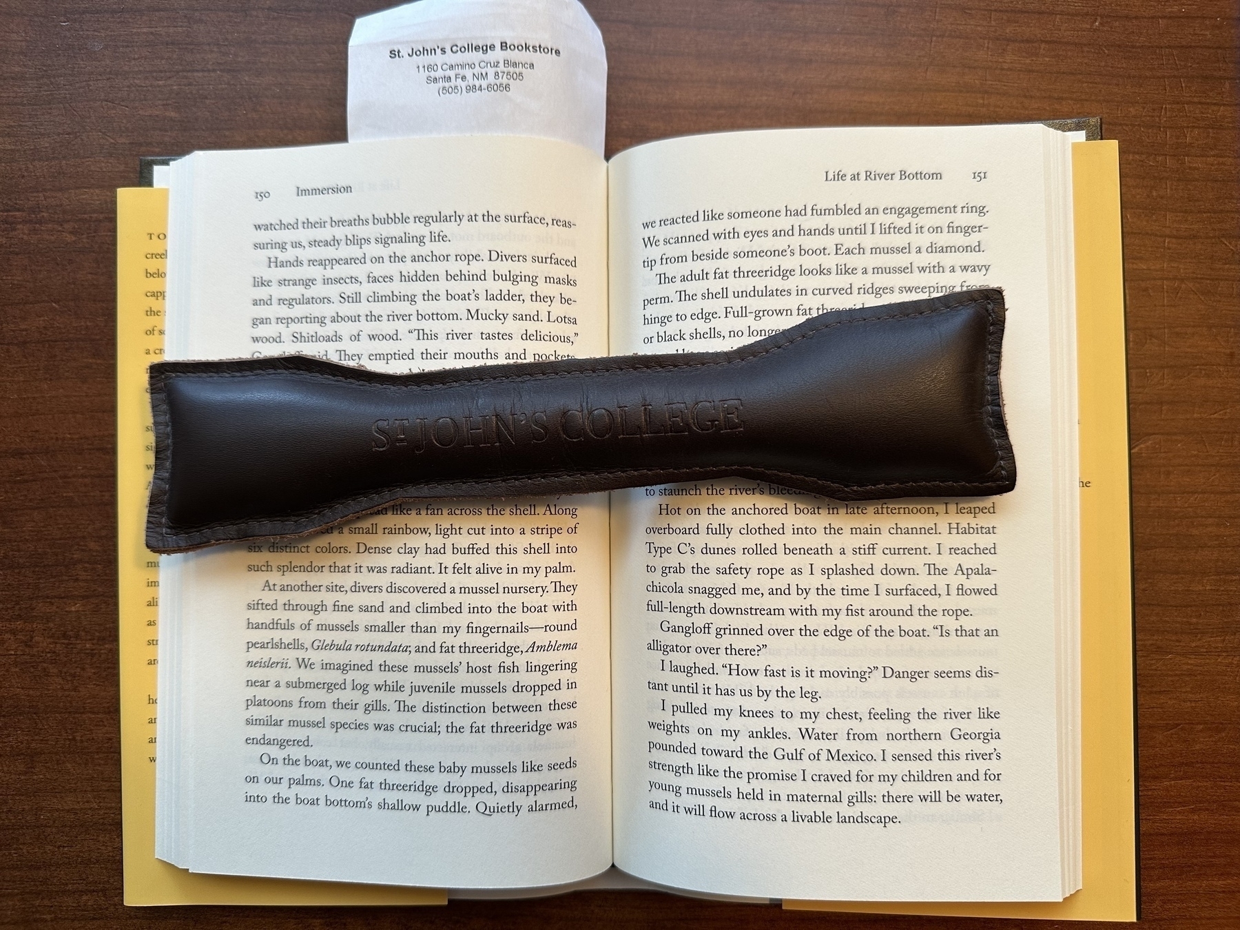 Brown leather book weight - like an elongated bow tie - on top of an open book, which happens to be Immersion: The Science and Mystery of Freshwater Mussels. The book lies open under the weight and on top of a brown wooden desk. 