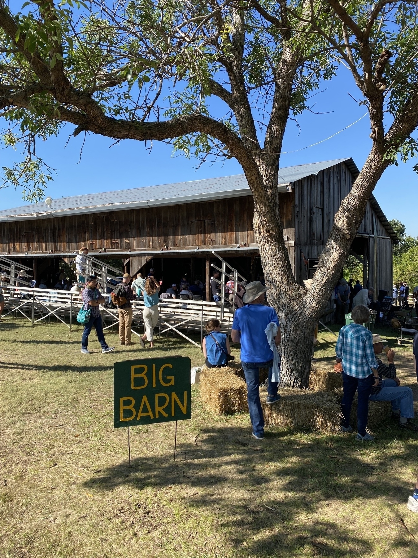 Several people walk beside a shade tree on green grass. A sign in the foreground says “BIG BARN” and behind the sign is a simple barn with metal bleacher seats outside it facing in through open doors.