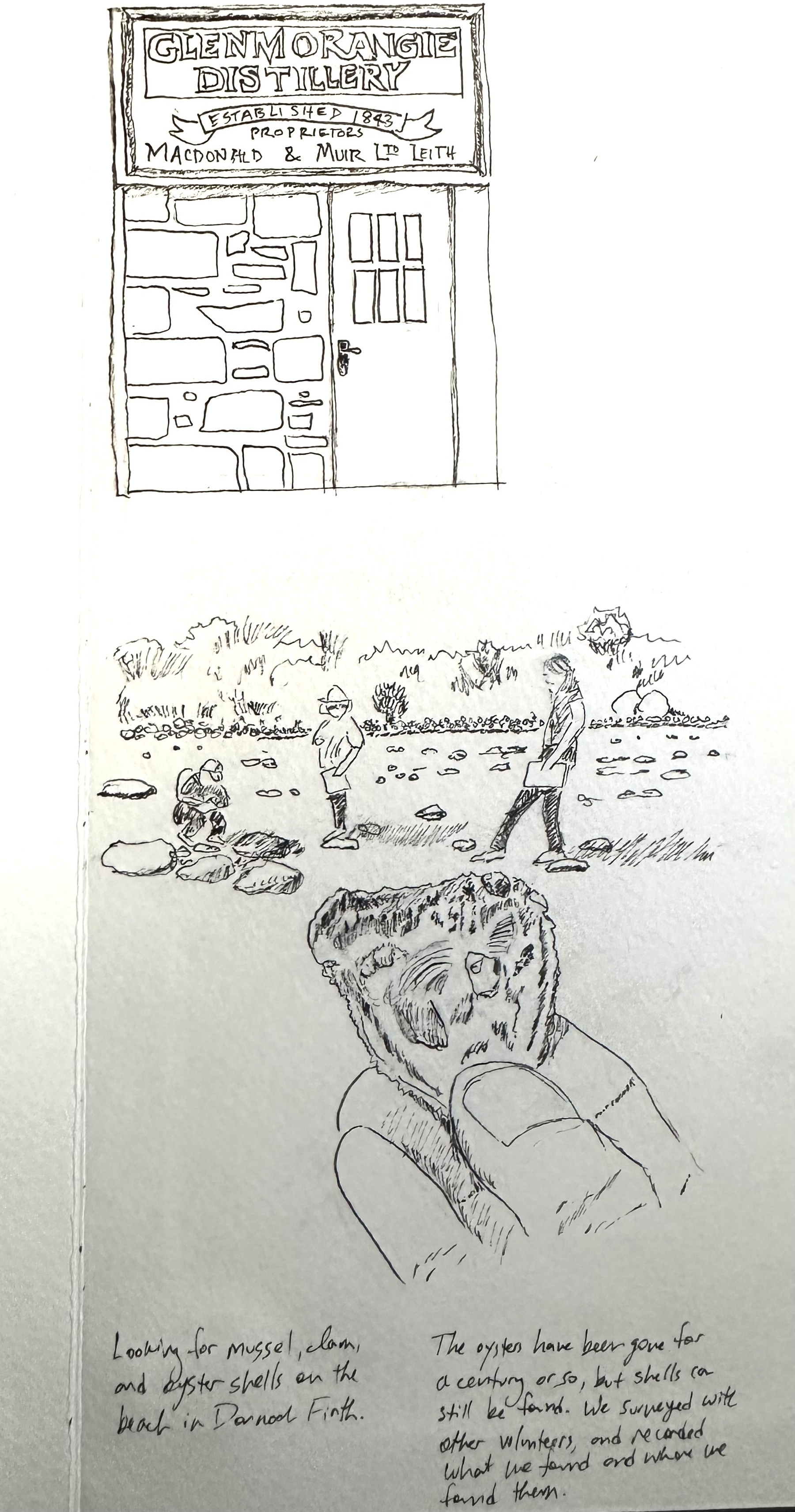 A detailed sketch showcases people walking by a rocky shore while someone holds a shell fragment, accompanied by a distillery illustration and handwritten notes.