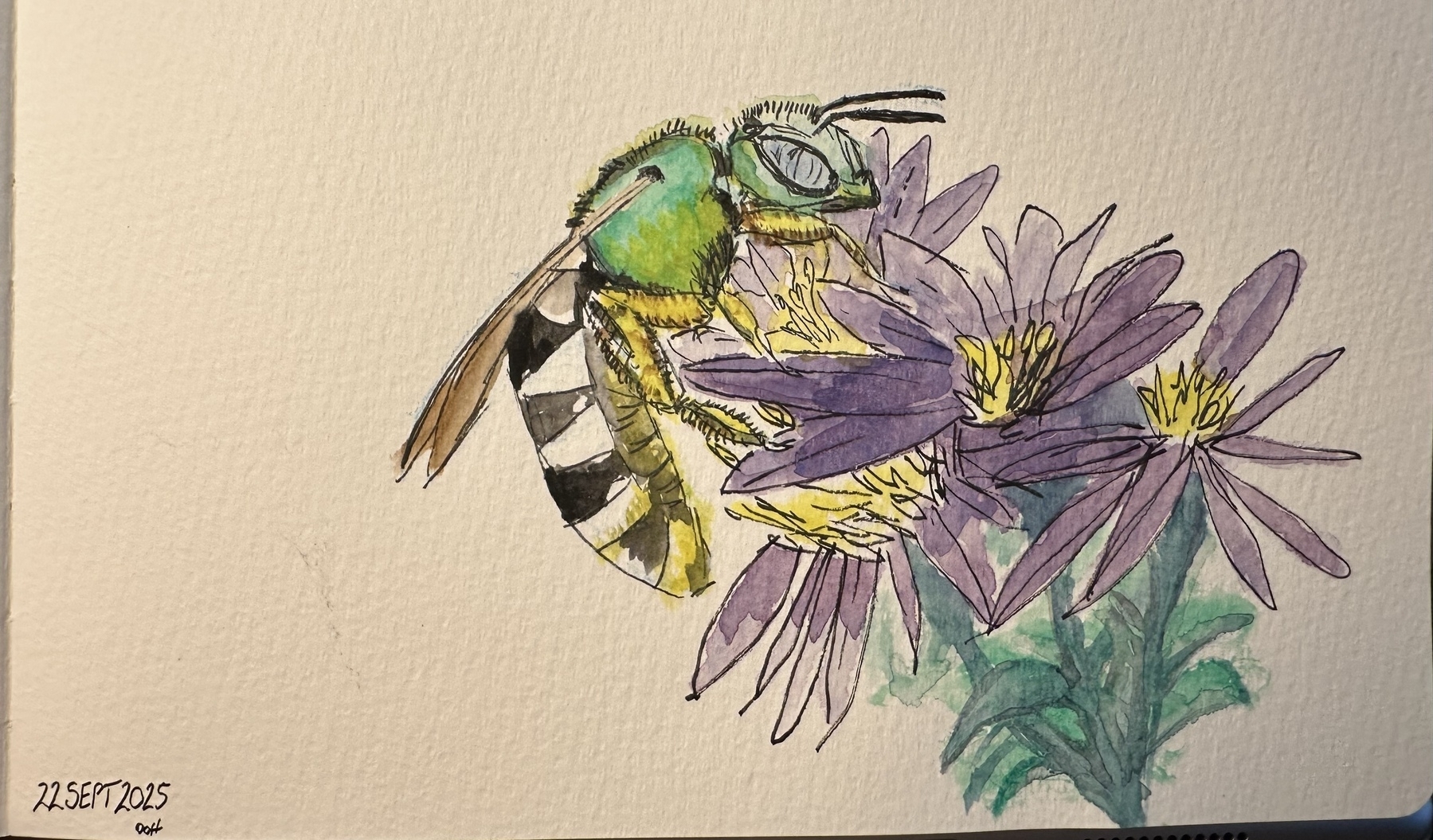 A detailed watercolor illustration depicts a green bee perched on a cluster of purple flowers.