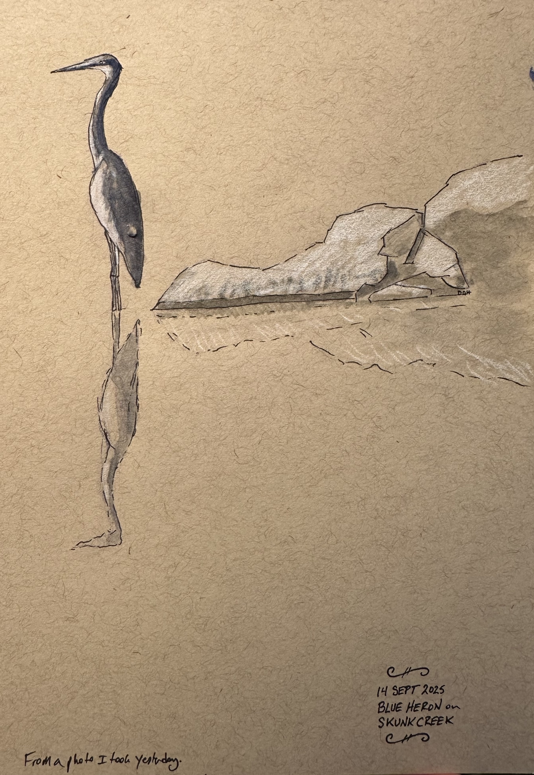 A sketch depicts a blue heron standing in water, with rocks and a note about the date and location.