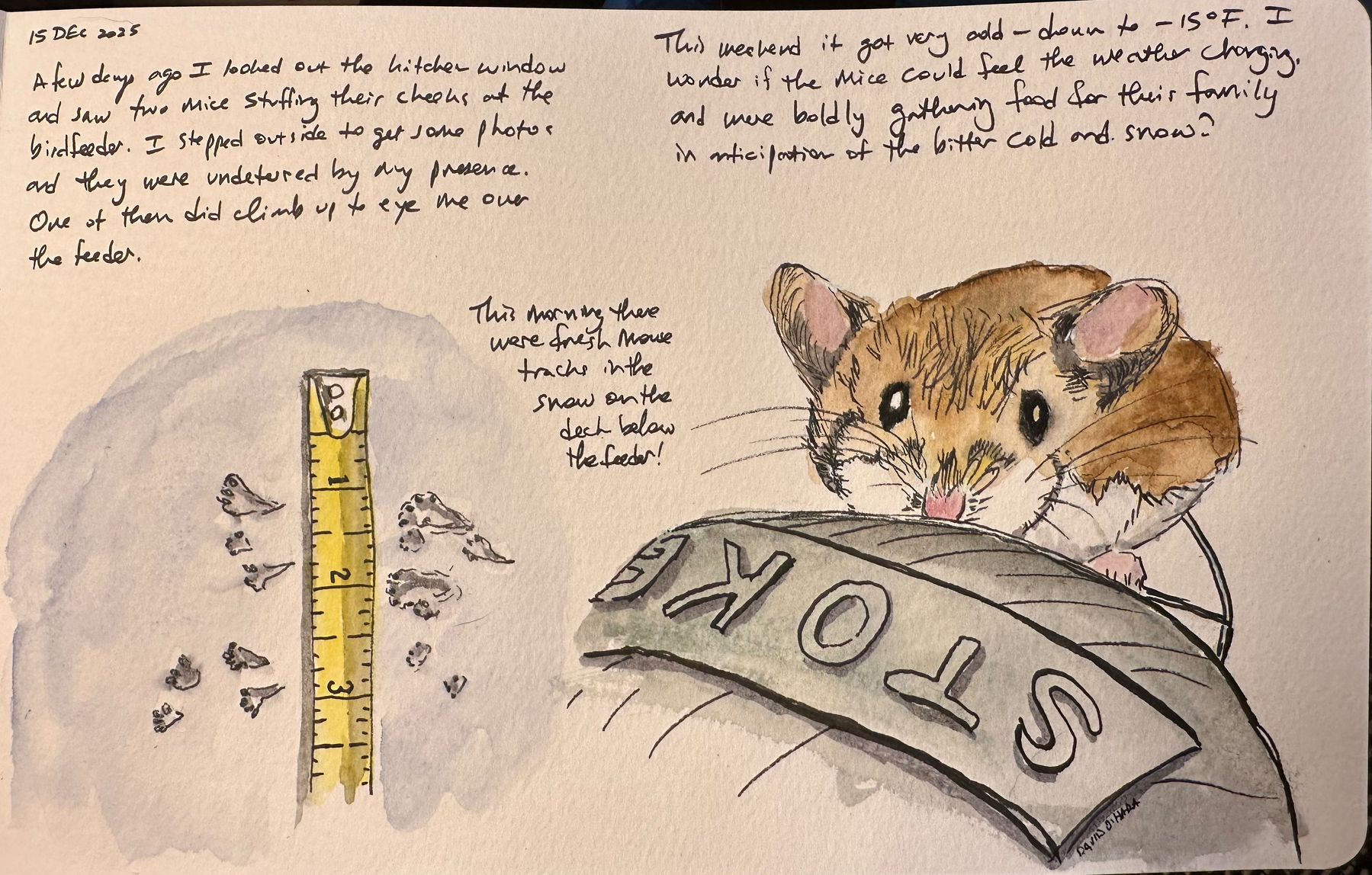 A cute mouse sits on a bird feeder with a handwritten note discussing cold weather, snow, and wildlife observations beside a drawing of a ruler placed in snow.