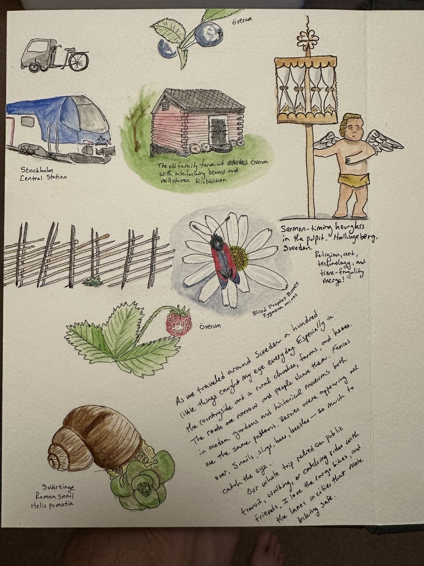 A hand-drawn collage features a caravan in Stockholm, a Swedish red cabin, blueberries, a traditional decoration with text, a snail, a daisy with a ladybug, strawberries, and handwritten notes.