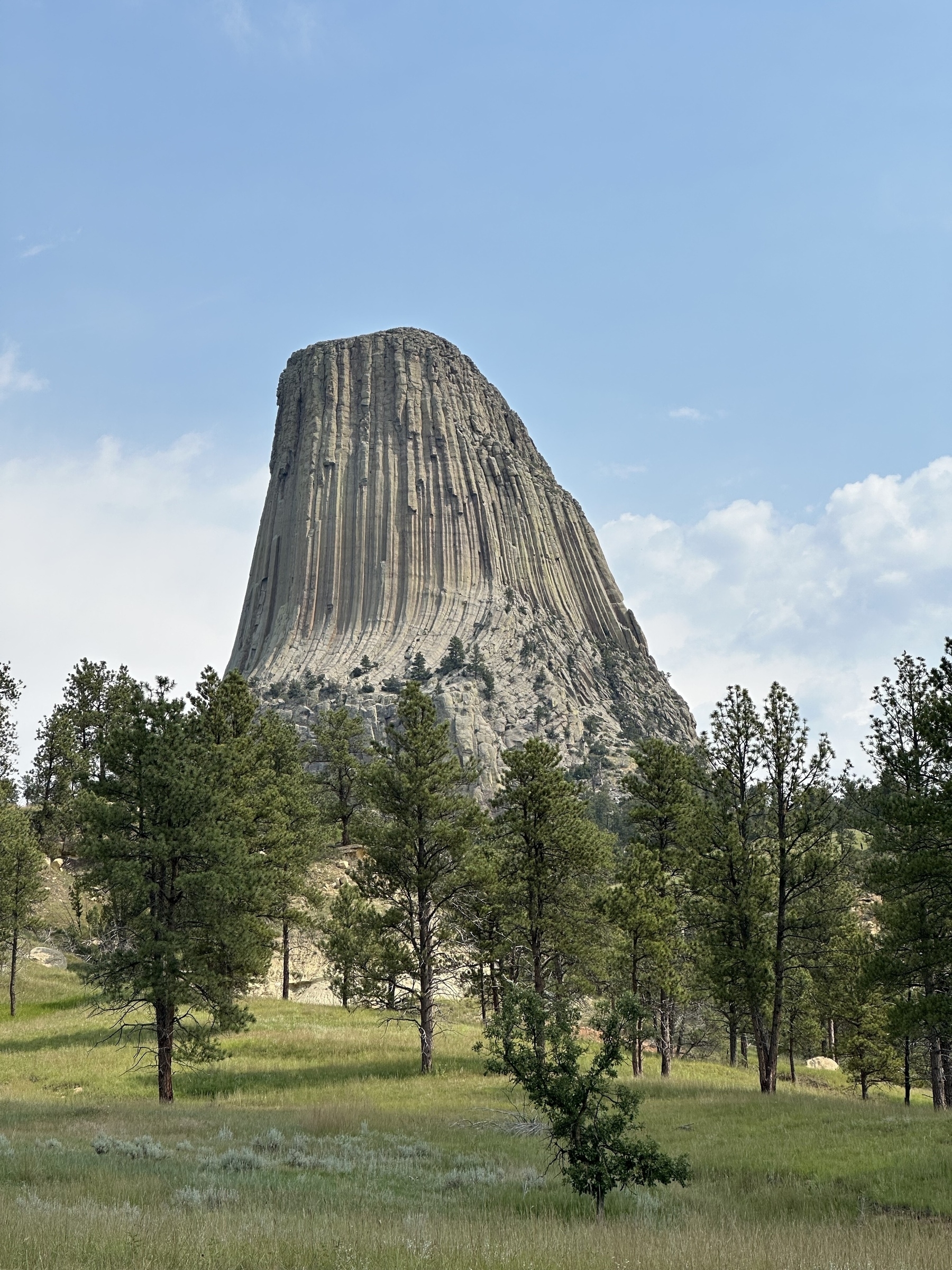 A rock butte rises above pine trees