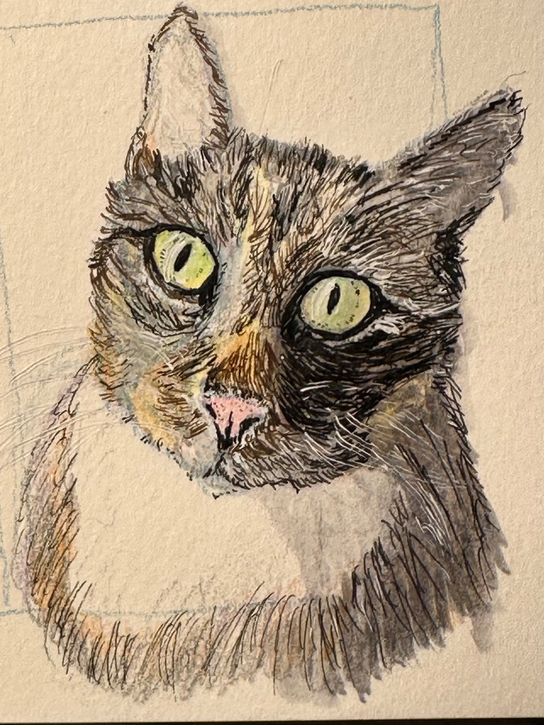 Color sketch of a cat with green eyes. 