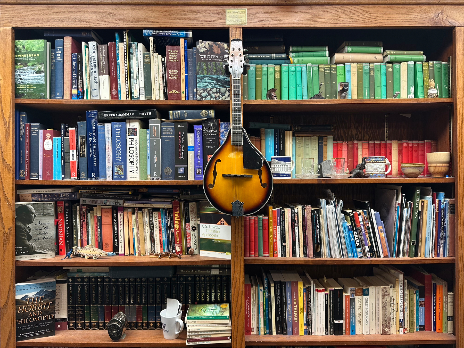 A wooden bookshelf filled with assorted books is adorned with a mandolin hanging in the center.