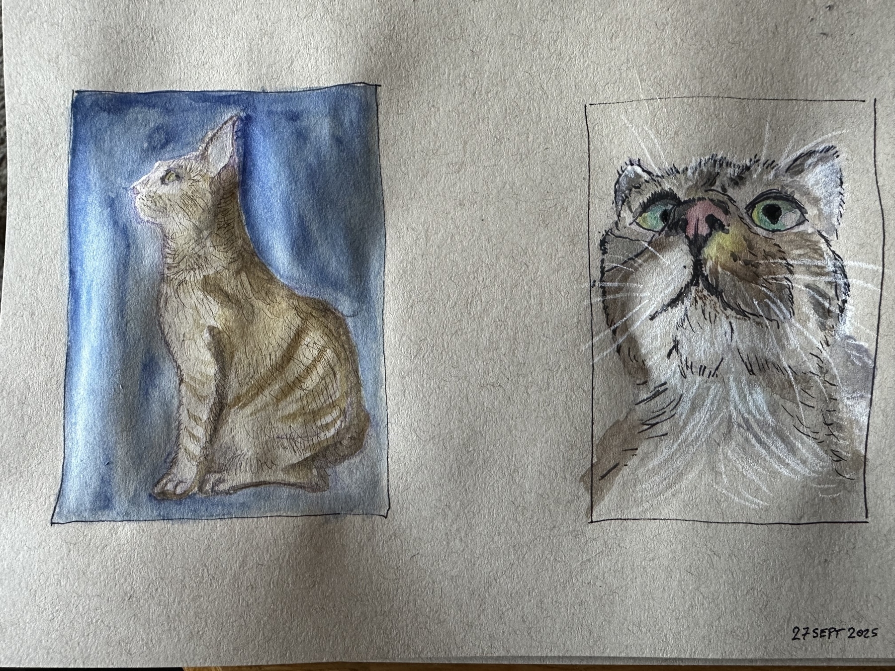 Two watercolor paintings of cats are depicted side by side; one shows a profile view while the other offers a close-up of the cat's face.