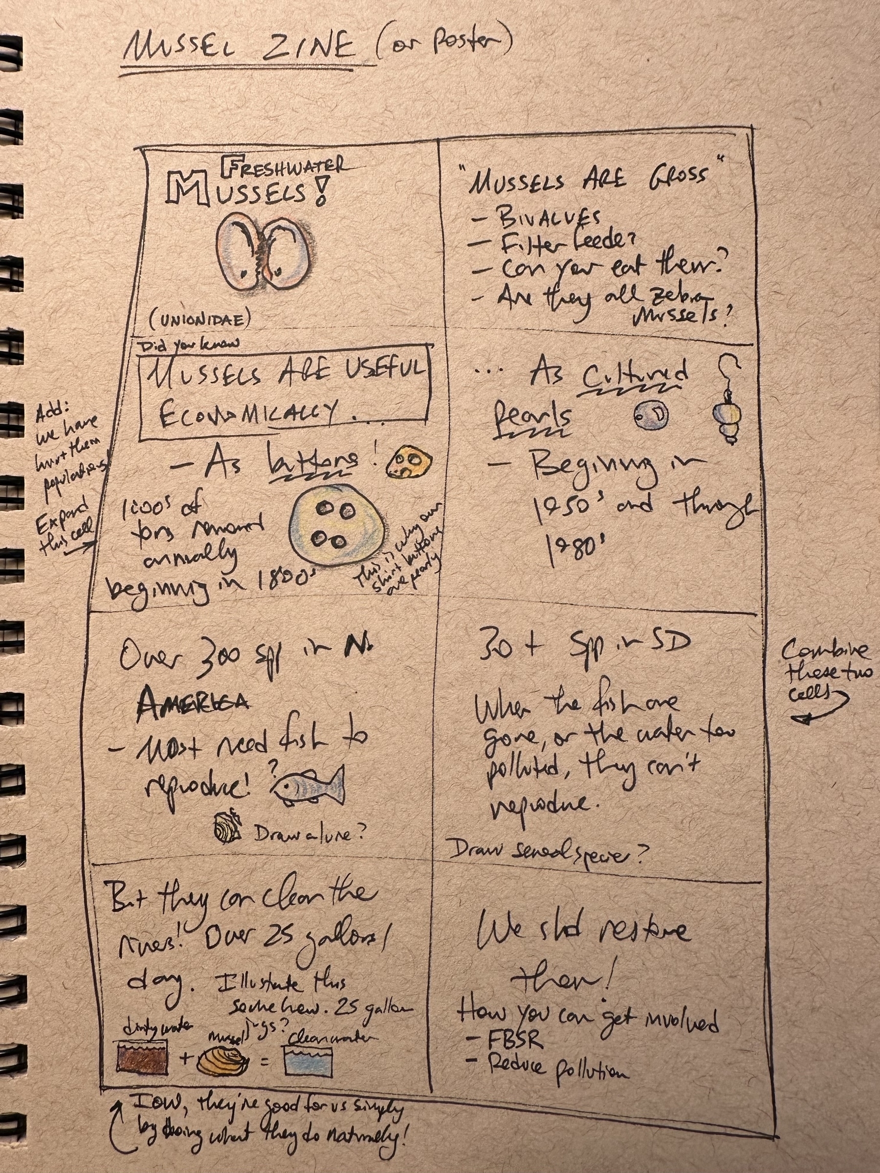 Hand-drawn zine about freshwater mussels includes information on their economic benefits, the threat to their existence, and conservation efforts.