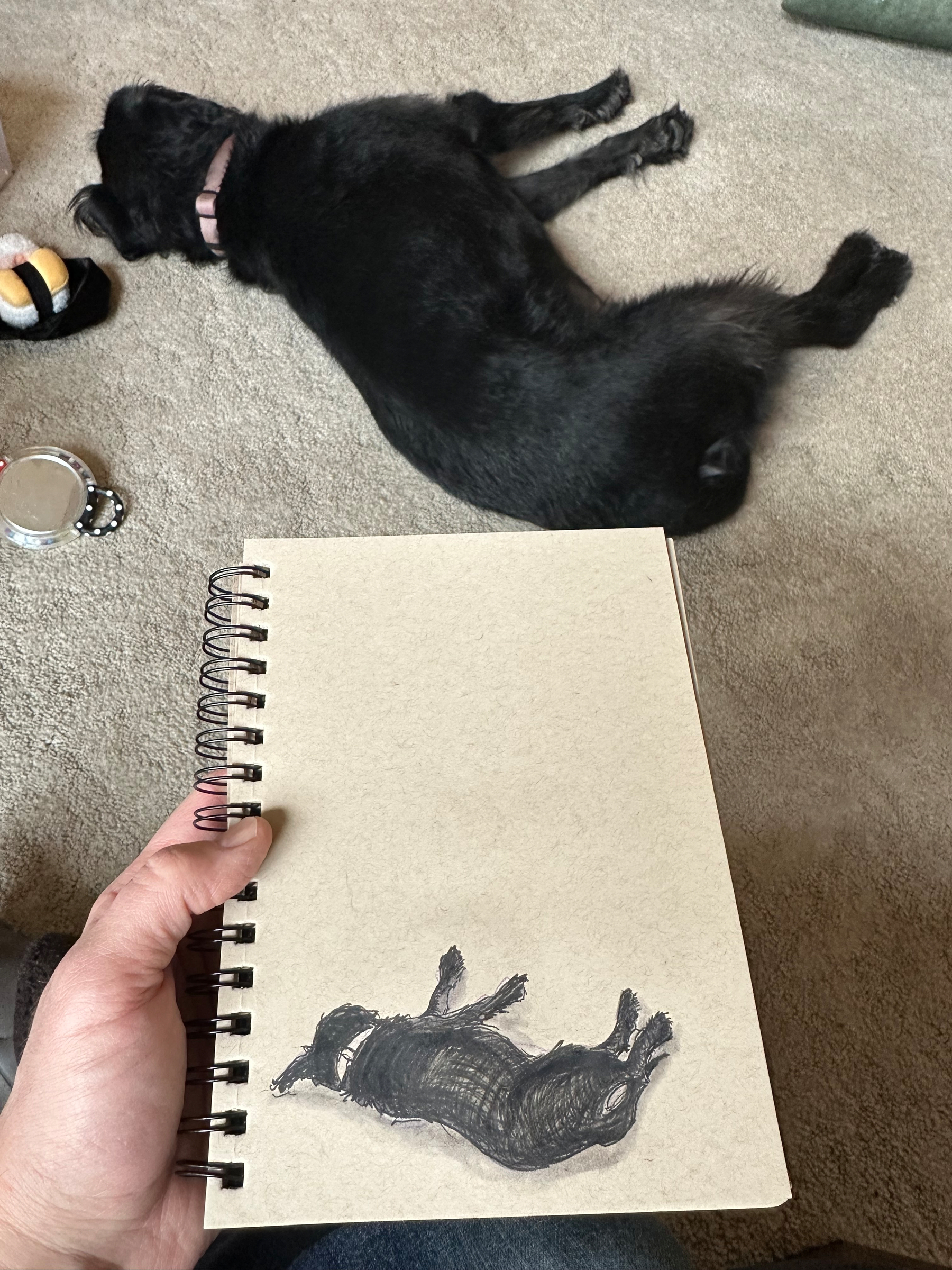 A sketch of a black dog lying on its side is shown on a notepad, mirroring the real black dog resting on a carpet in the background.