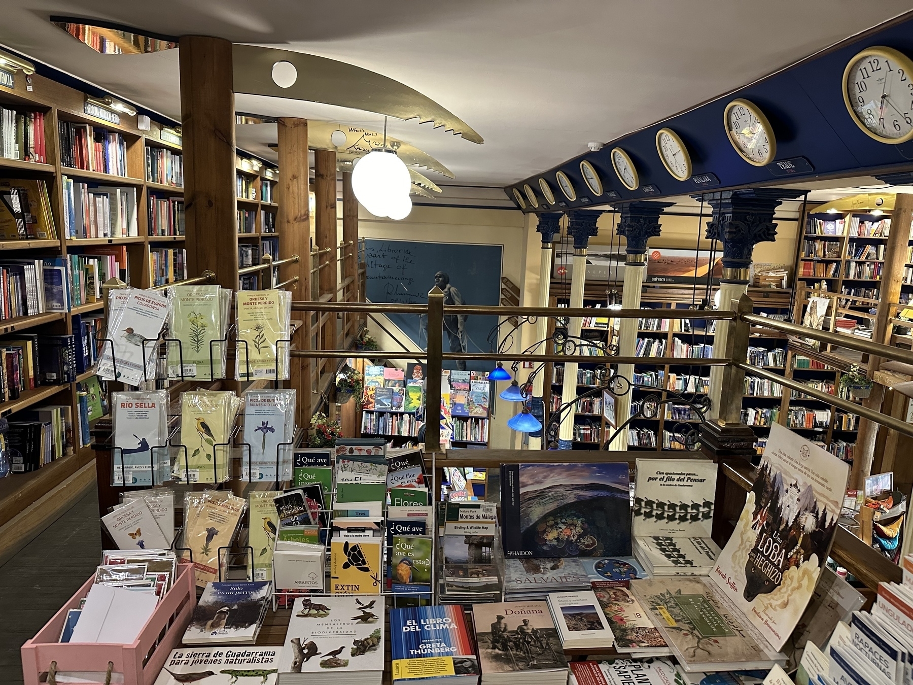 A cozy bookstore features shelves filled with books, a display of greeting cards, and unique ceiling decor, creating a warm and inviting atmosphere.