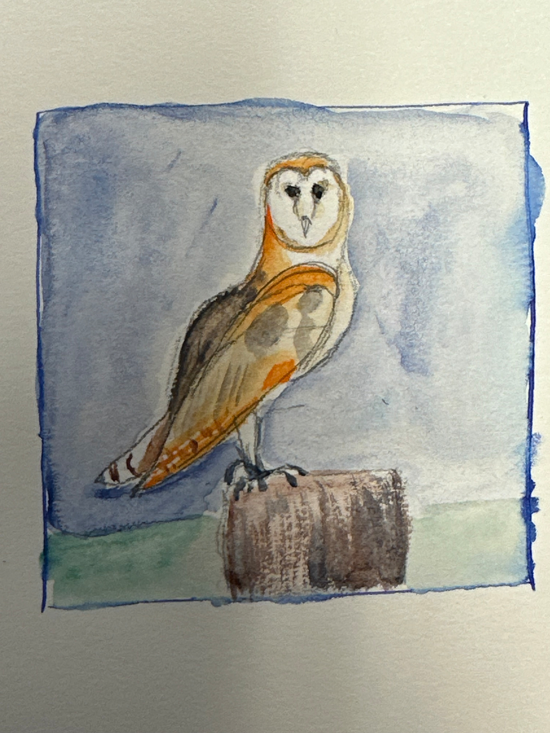 A watercolor painting of a barn owl perched on a stump against a soft, bluish background.