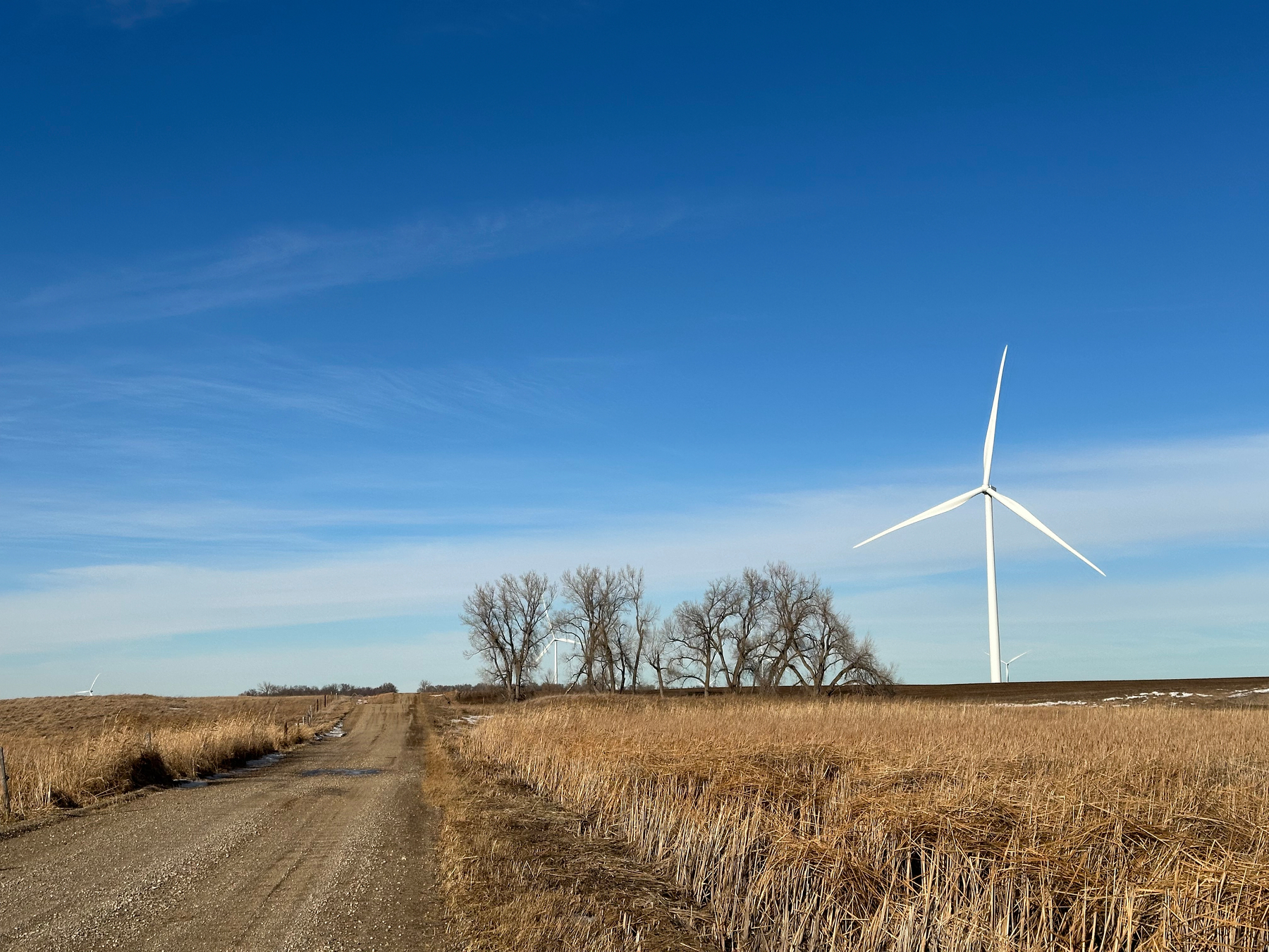 A wind turbine stands in a vast, open field beside a dirt road under a clear blue sky.
