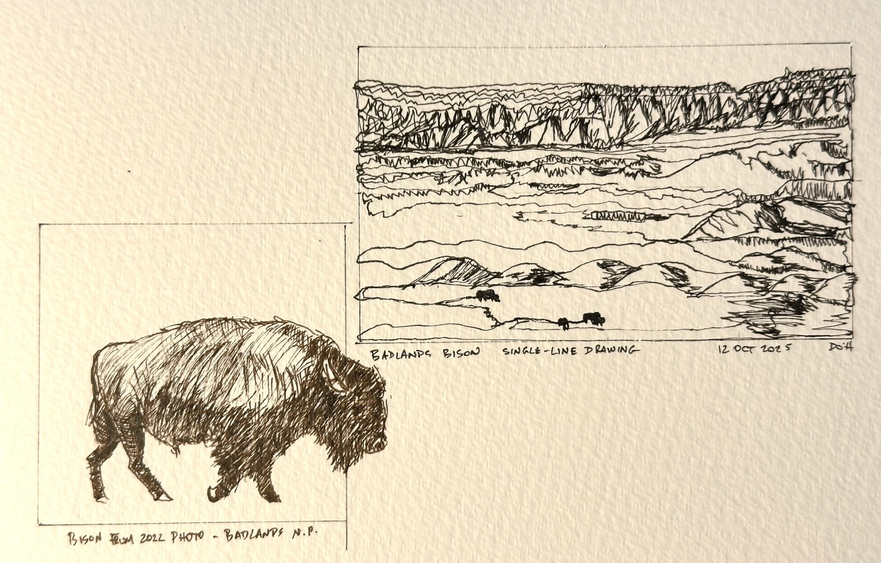 An ink drawing depicts a bison alongside a landscape of flowing lines, suggesting expansive terrain and distant mountains.
