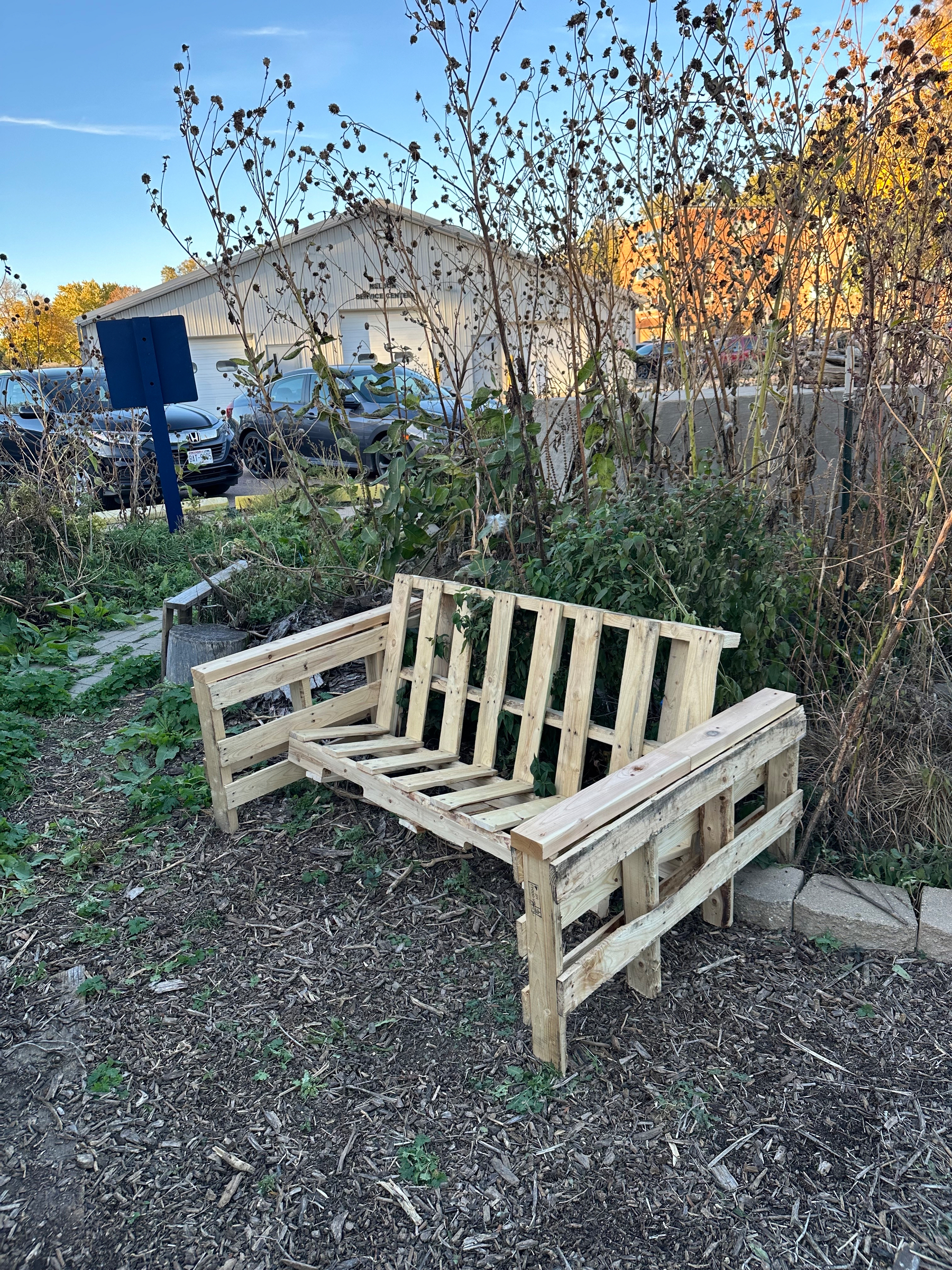 A wooden bench made from pallets is situated in a garden area with plants and a building in the background.