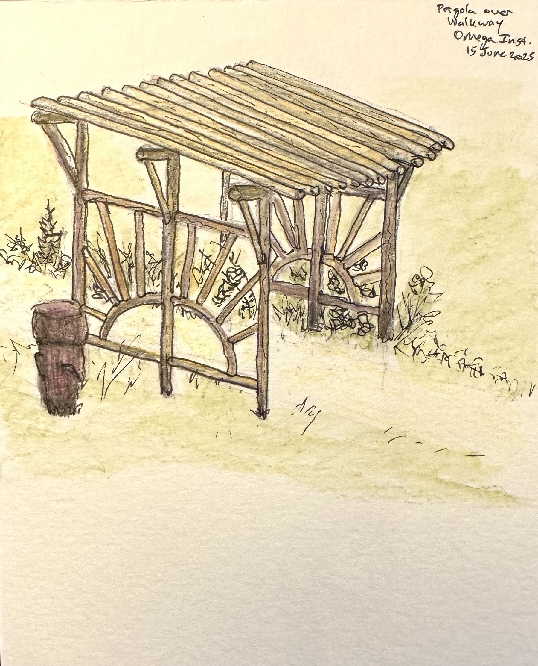 A hand-drawn pergola over a walkway with surrounding plants and a small barrel nearby.