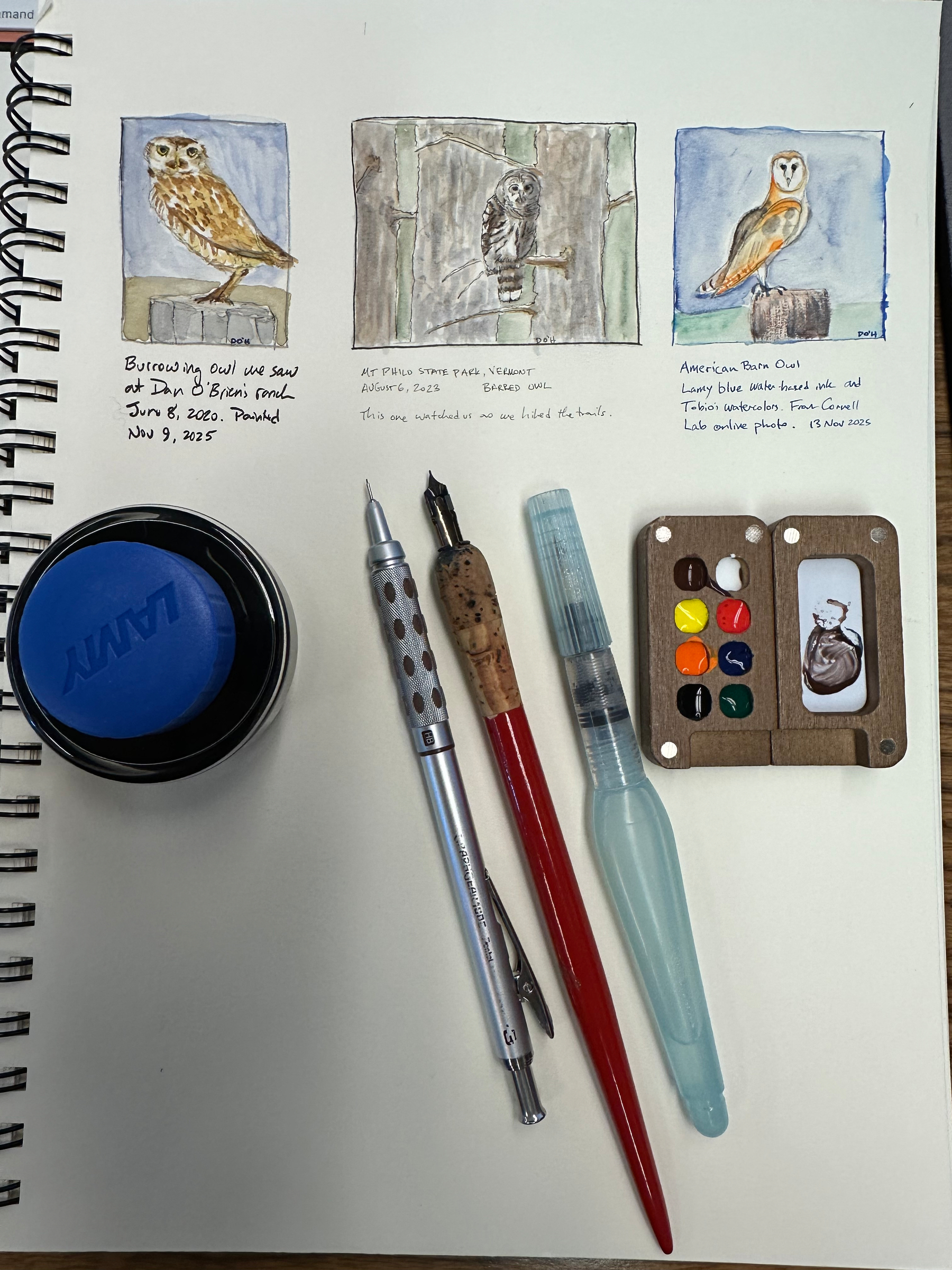 On a sketchbook page, there are three detailed bird paintings labeled with descriptions, accompanied by a blue ink pot and three pens or brushes.