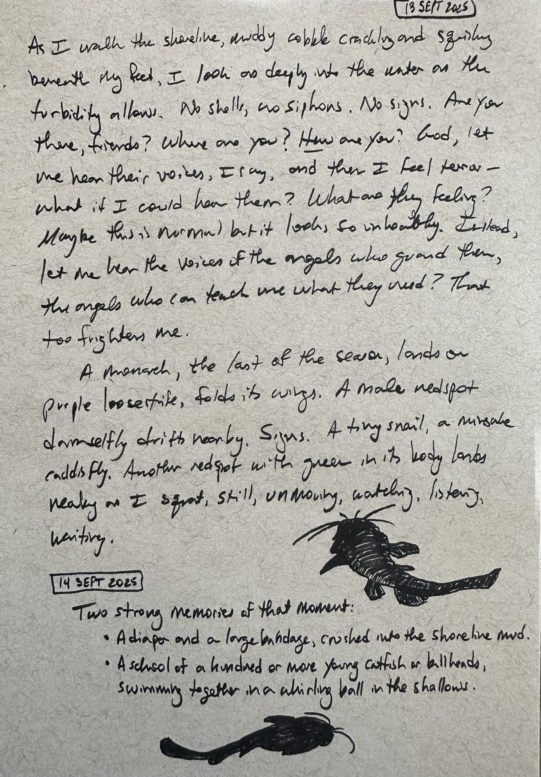 Handwritten journal entries feature dated notes detailing observations of nature and personal reflections.