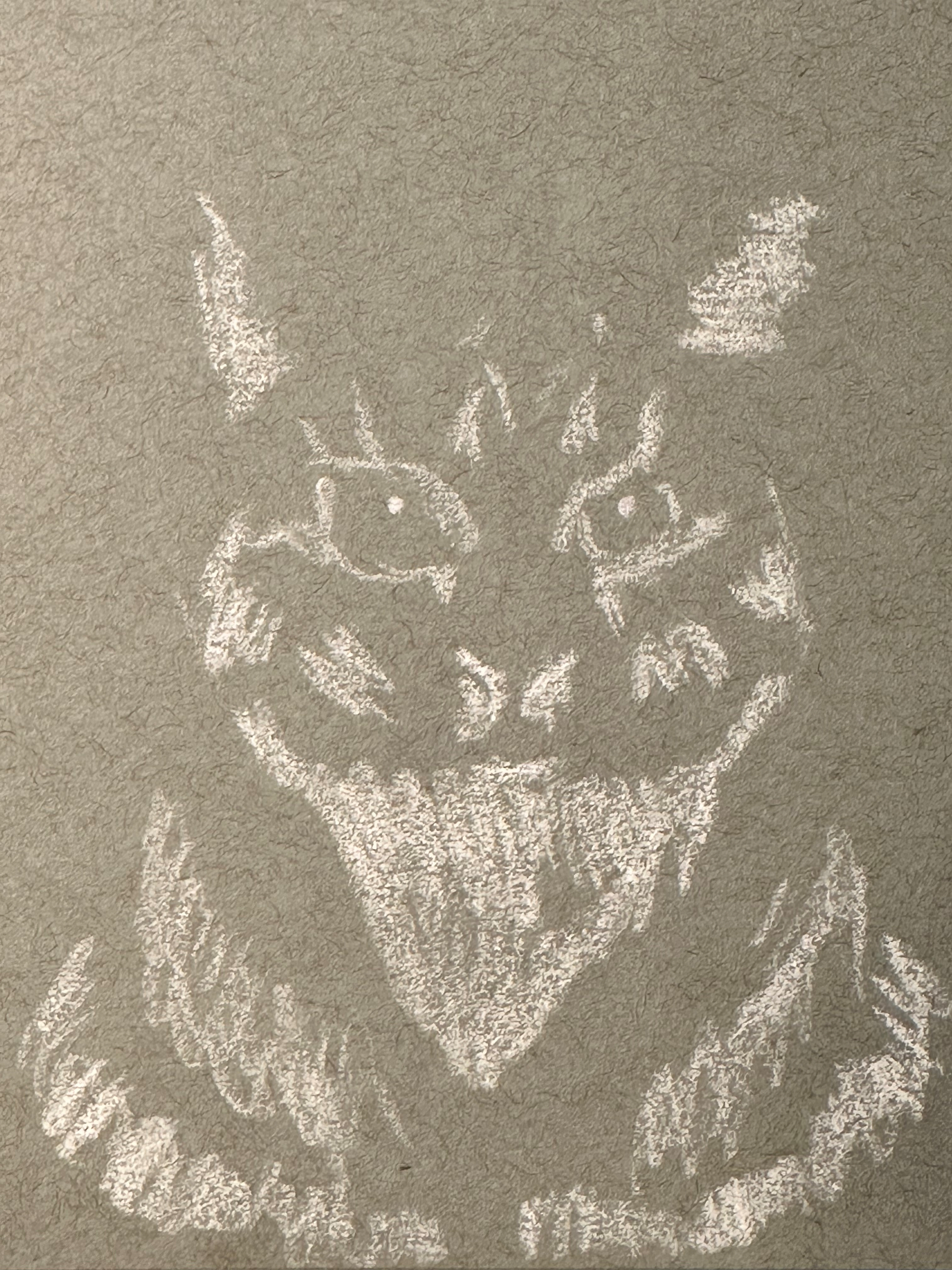 A chalk drawing on a rough surface depicts a menacing cat with ears, sharp eyes, and an open mouth showing teeth.