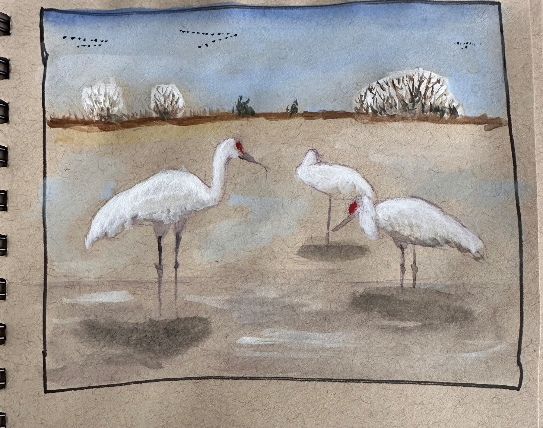 A watercolor painting depicts three white cranes standing in a marshy landscape under a blue sky with distant birds flying.