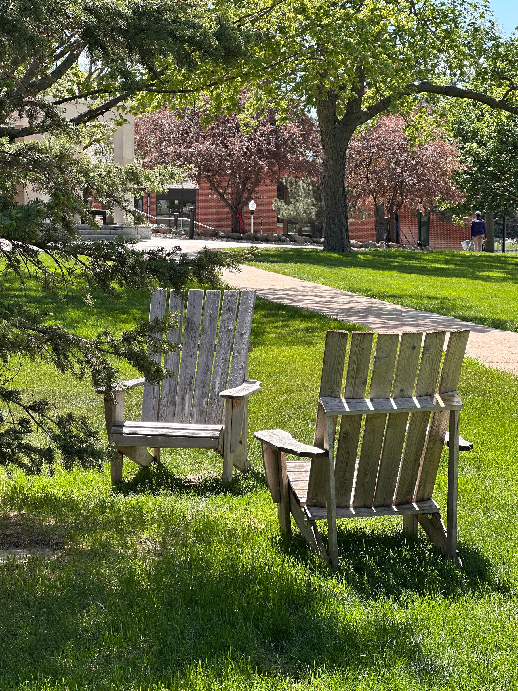 Two cedar Adirondack chairs sit on a grassy lawn near shady trees. In the background a brick library is partially concealed by flowering trees.