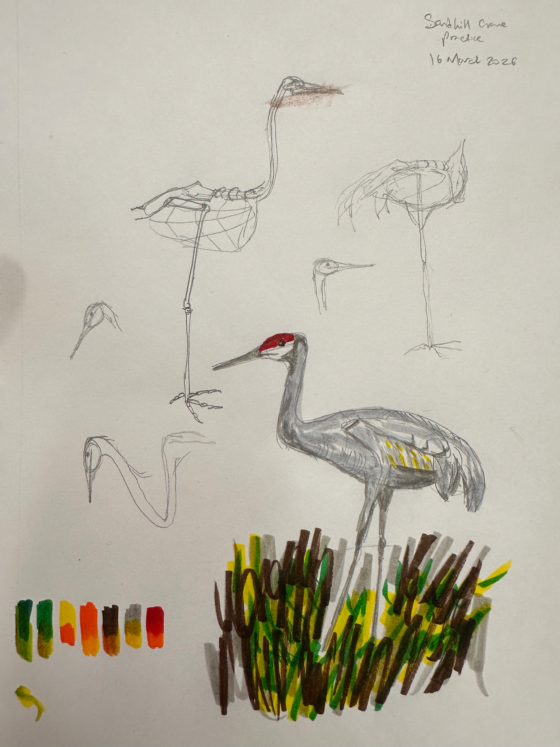 Sketches and a colored drawing of a crane, along with color swatches, are displayed on sketch paper.