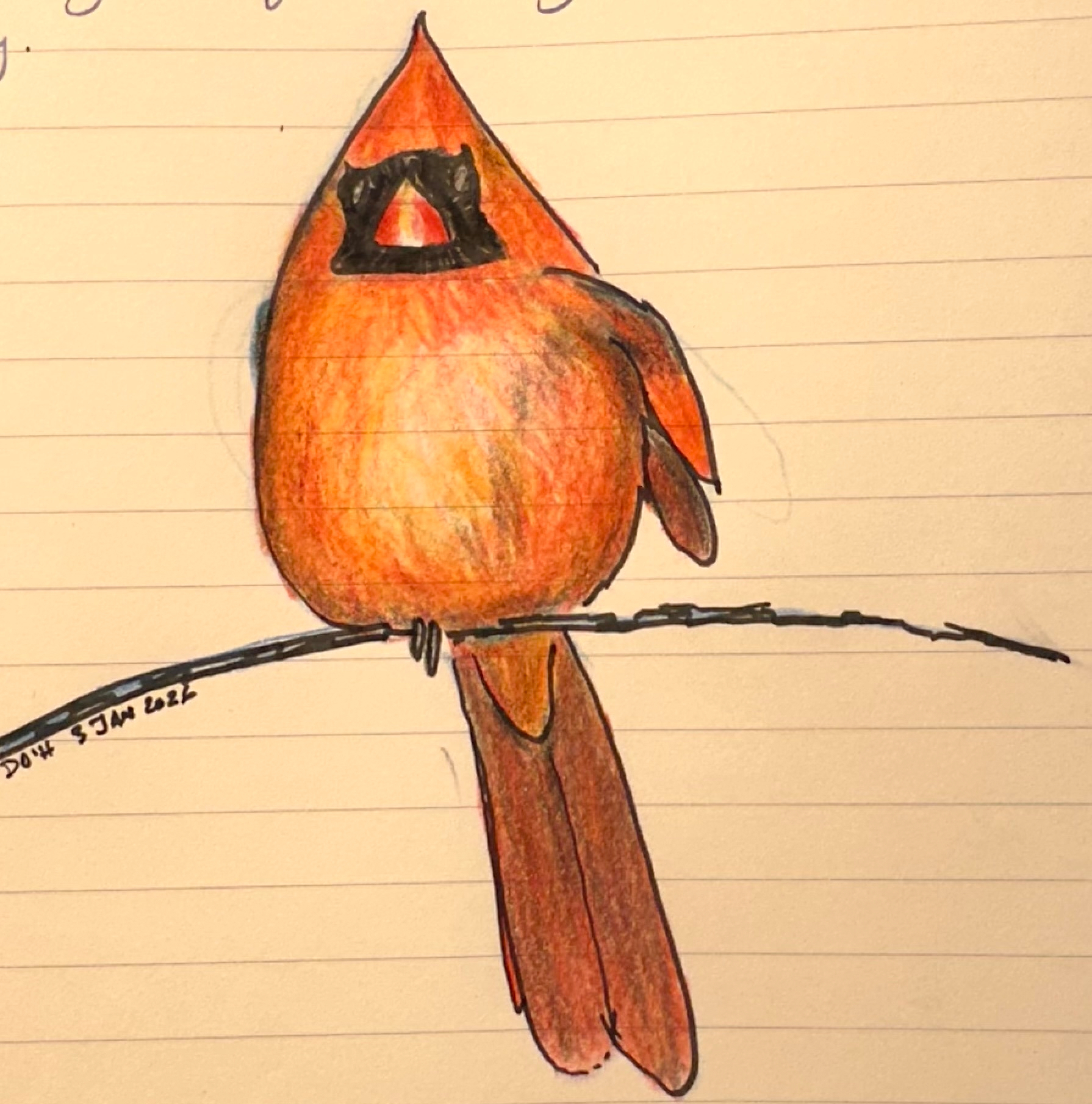 A colorful red male cardinal is perched on a branch in a detailed watercolor pencil and ink drawing.