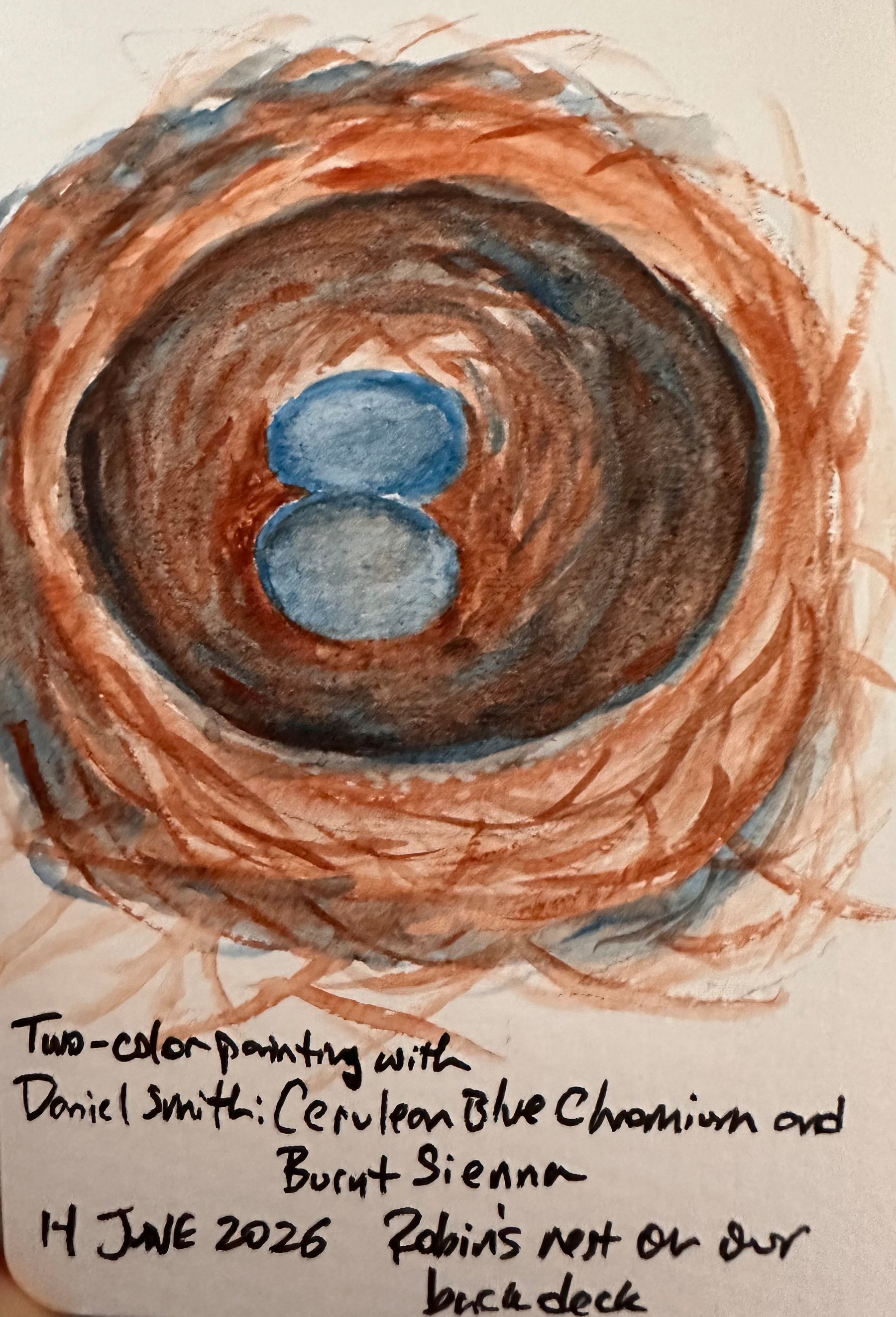A watercolor painting features a blue bird's nest with two eggs, using shades of burnt sienna and cerulean blue, accompanied by handwritten notes.