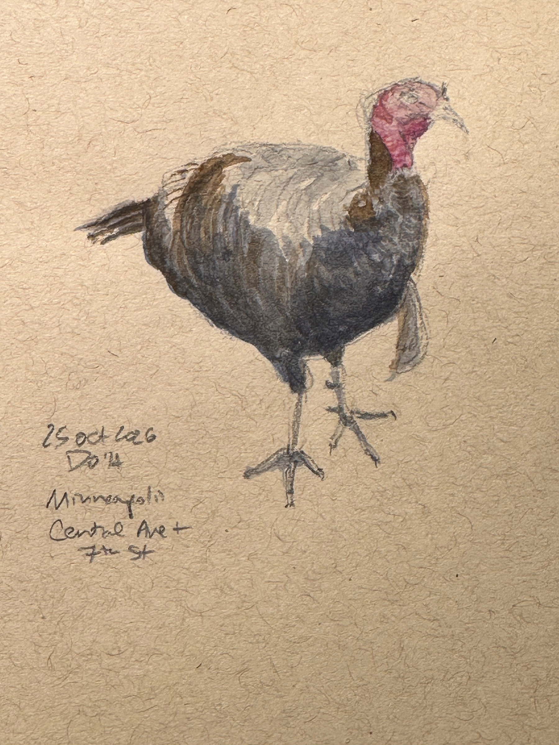 A detailed watercolor painting of a turkey with handwritten notes indicating it was created on October 25, 2026, in Minneapolis at Central Ave and 7th St.