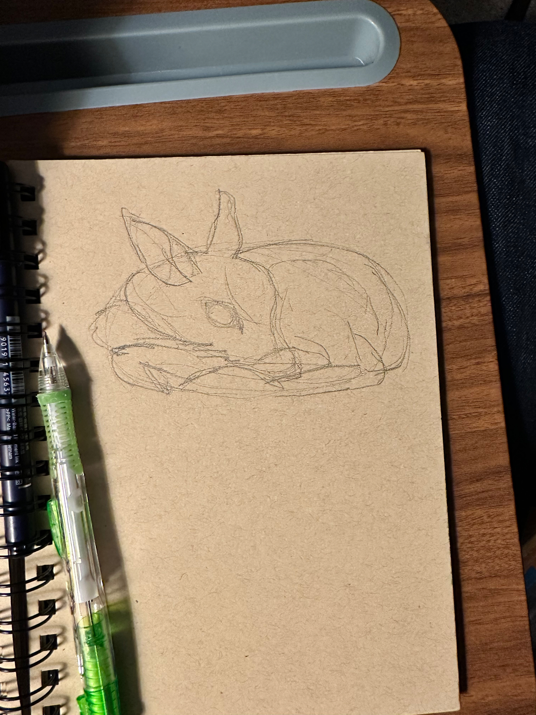 A pencil sketch of a sleeping rabbit is drawn on a spiral-bound notebook placed on a wooden surface.