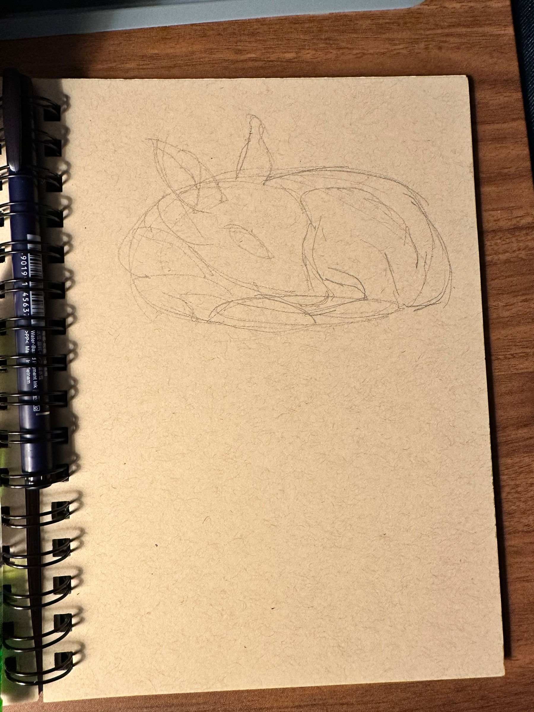 A light pencil sketch of a curled-up rabbit is drawn on a blank page of a spiral notebook placed on a wooden surface.