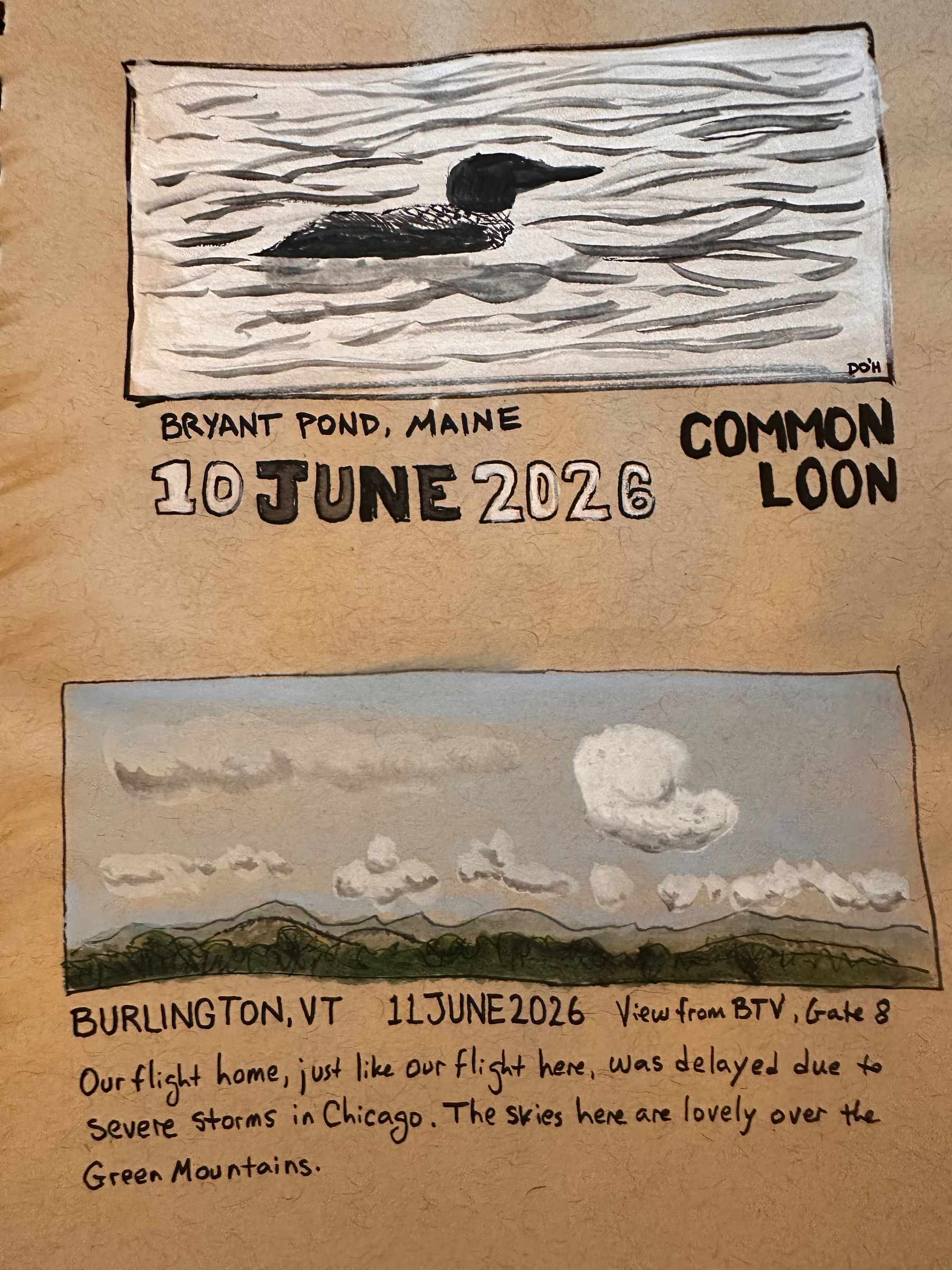 Two sketches depict a common loon and a mountain landscape with handwritten text describing the scenes and dates.