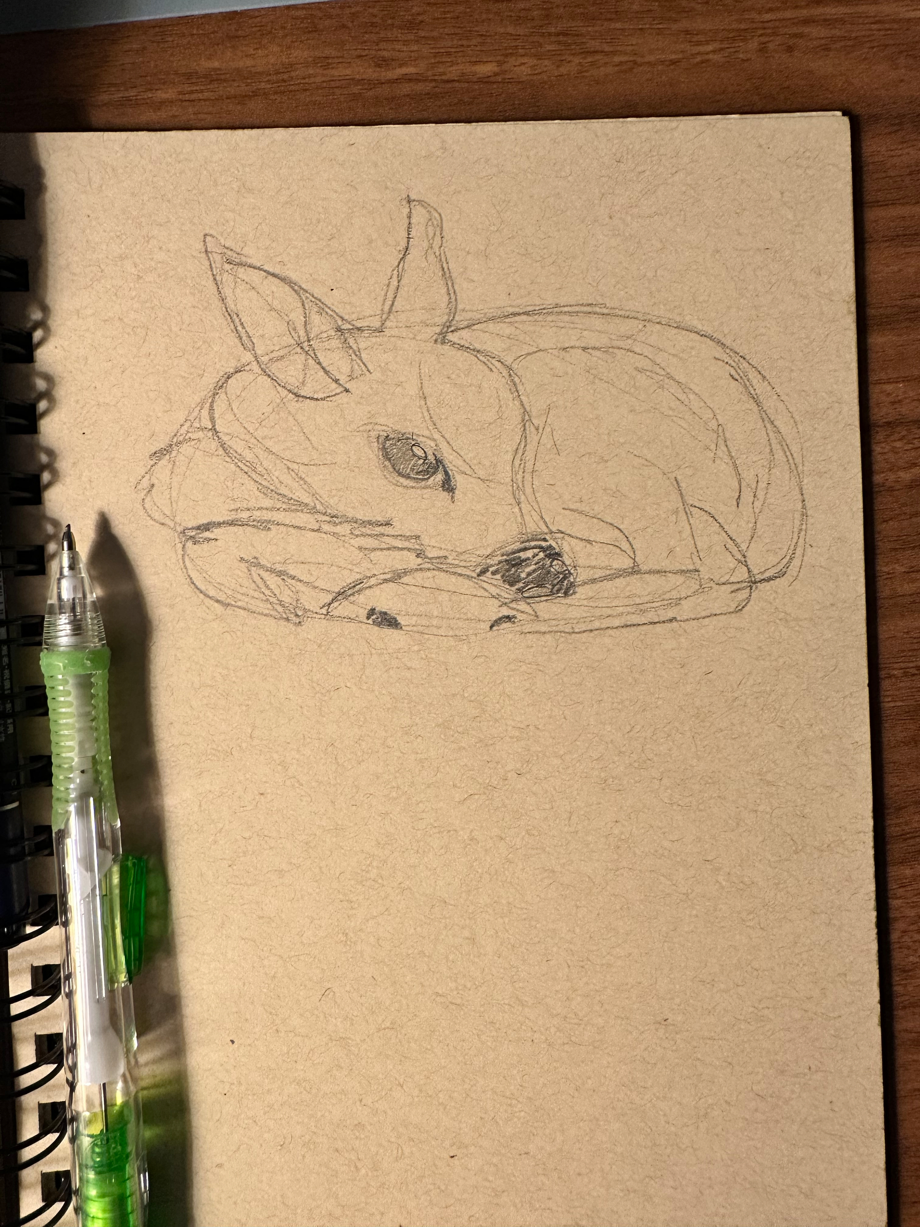 A pencil sketch of a small animal, possibly a dog or fox, curled up and resting on a plain piece of paper with a green mechanical pencil lying beside it.