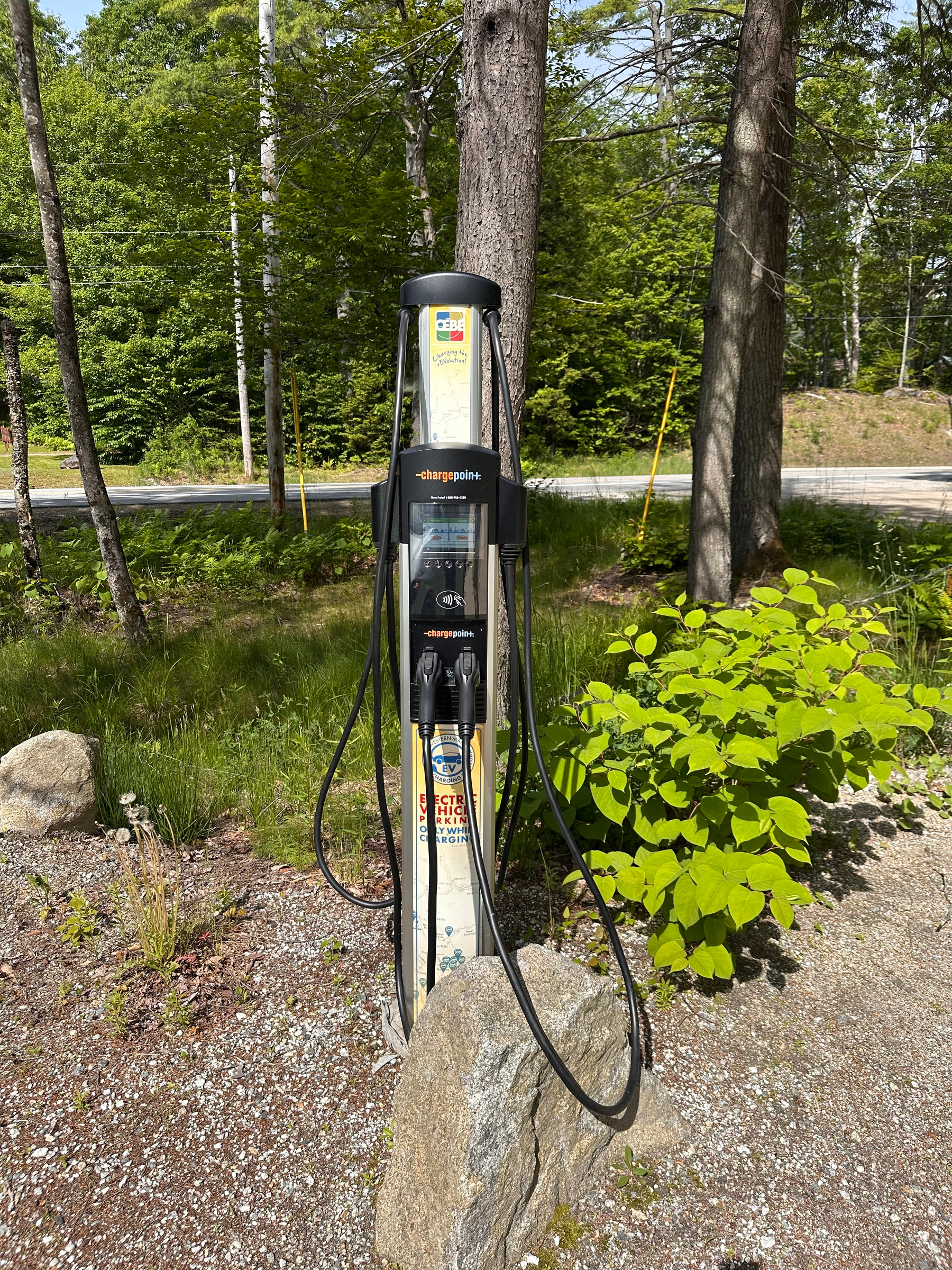 An electric vehicle charging station is situated outdoors surrounded by greenery and trees.