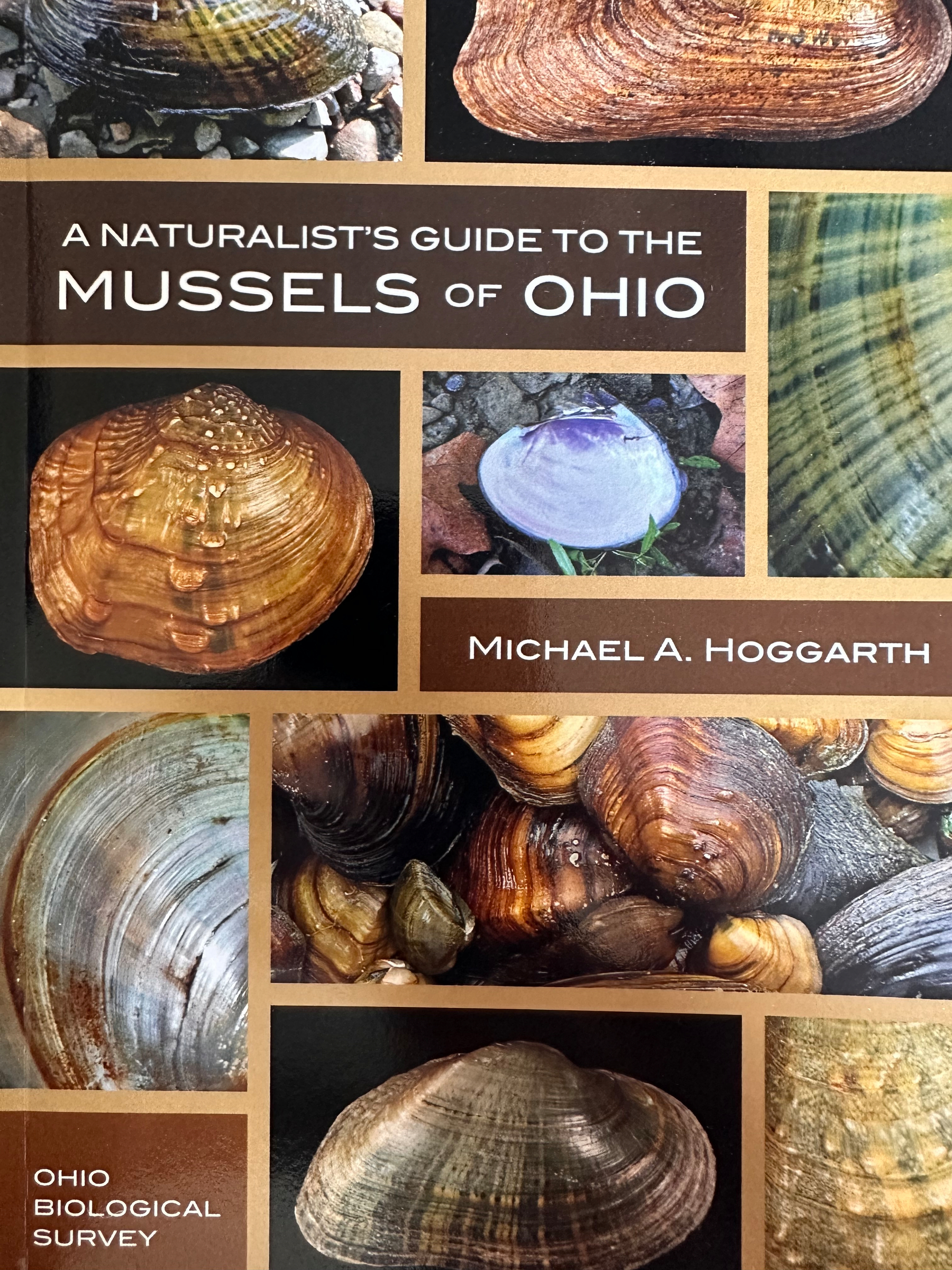 A guidebook titled A Naturalist's Guide to the Mussels of Ohio by Michael A. Hoggarth, featuring various images of mussels.