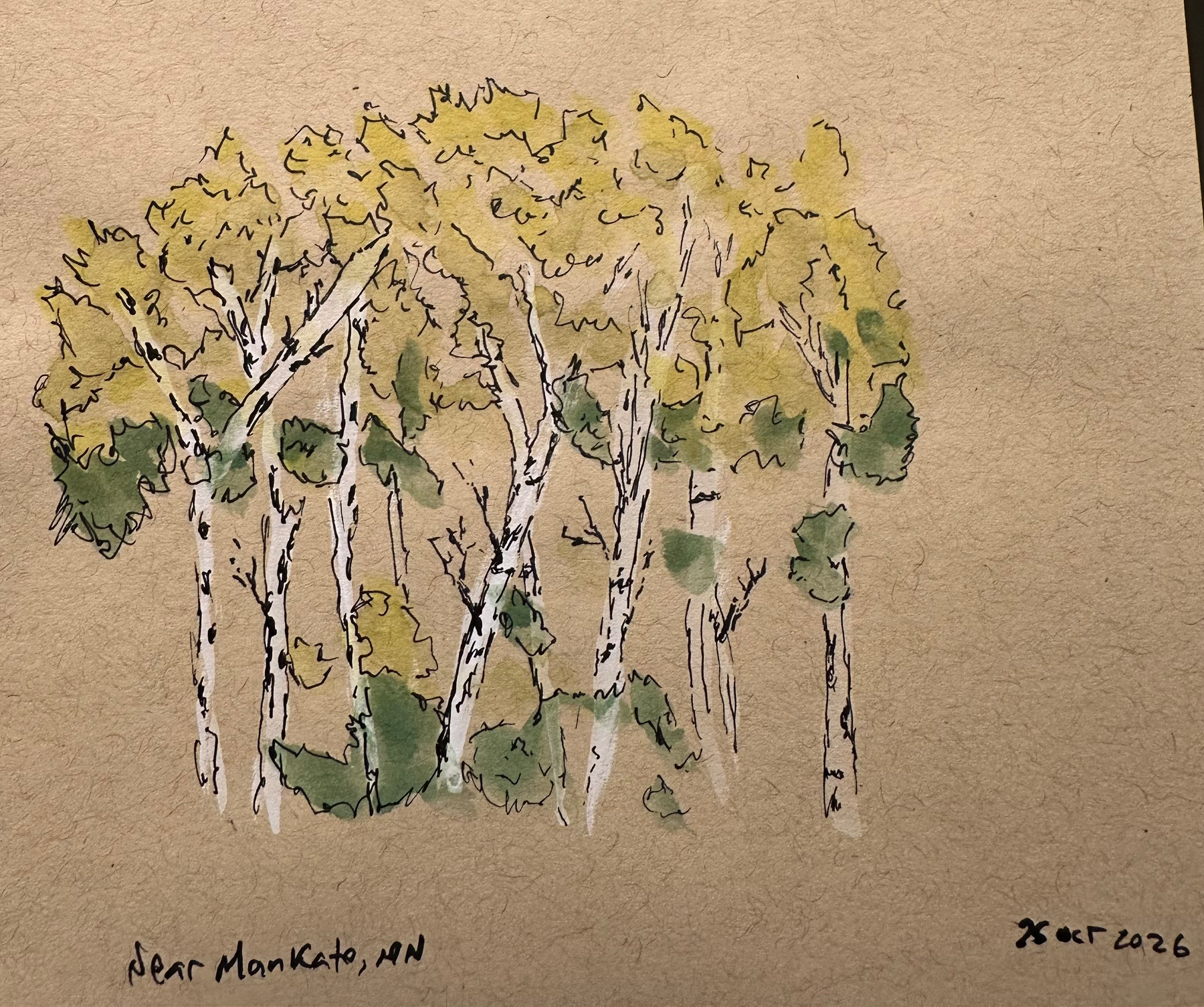 A watercolor and ink sketch depicts a small grove of birch trees with yellow and green leaves on a textured beige background.