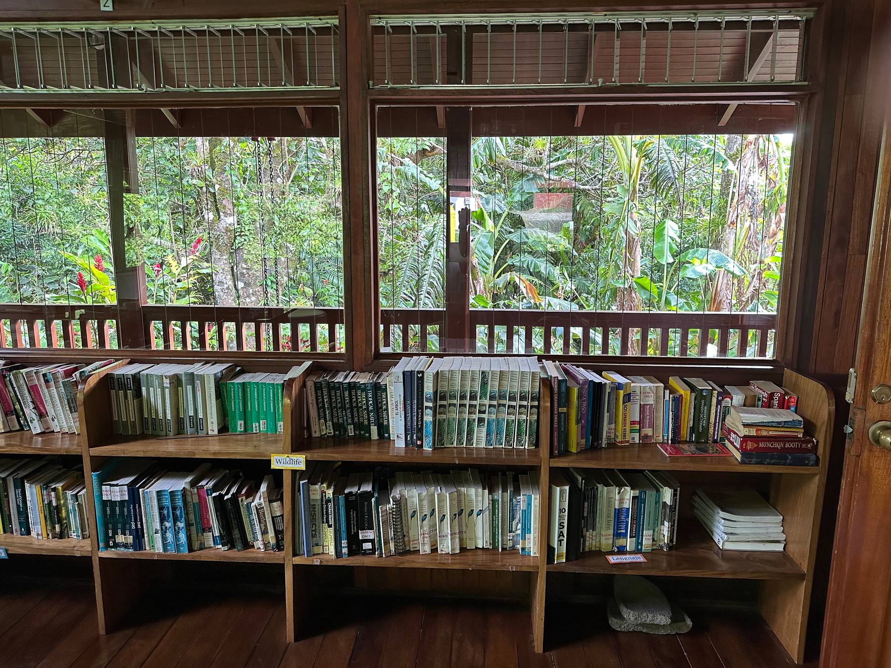 A wooden bookshelf filled with various books is situated indoors in front of large windows revealing lush green foliage outside. I took this photo in Puntarenas, Costa Rica. The shelves are full of discoveries of others; the forest beyond is full of potential for those who would discover more for themselves.