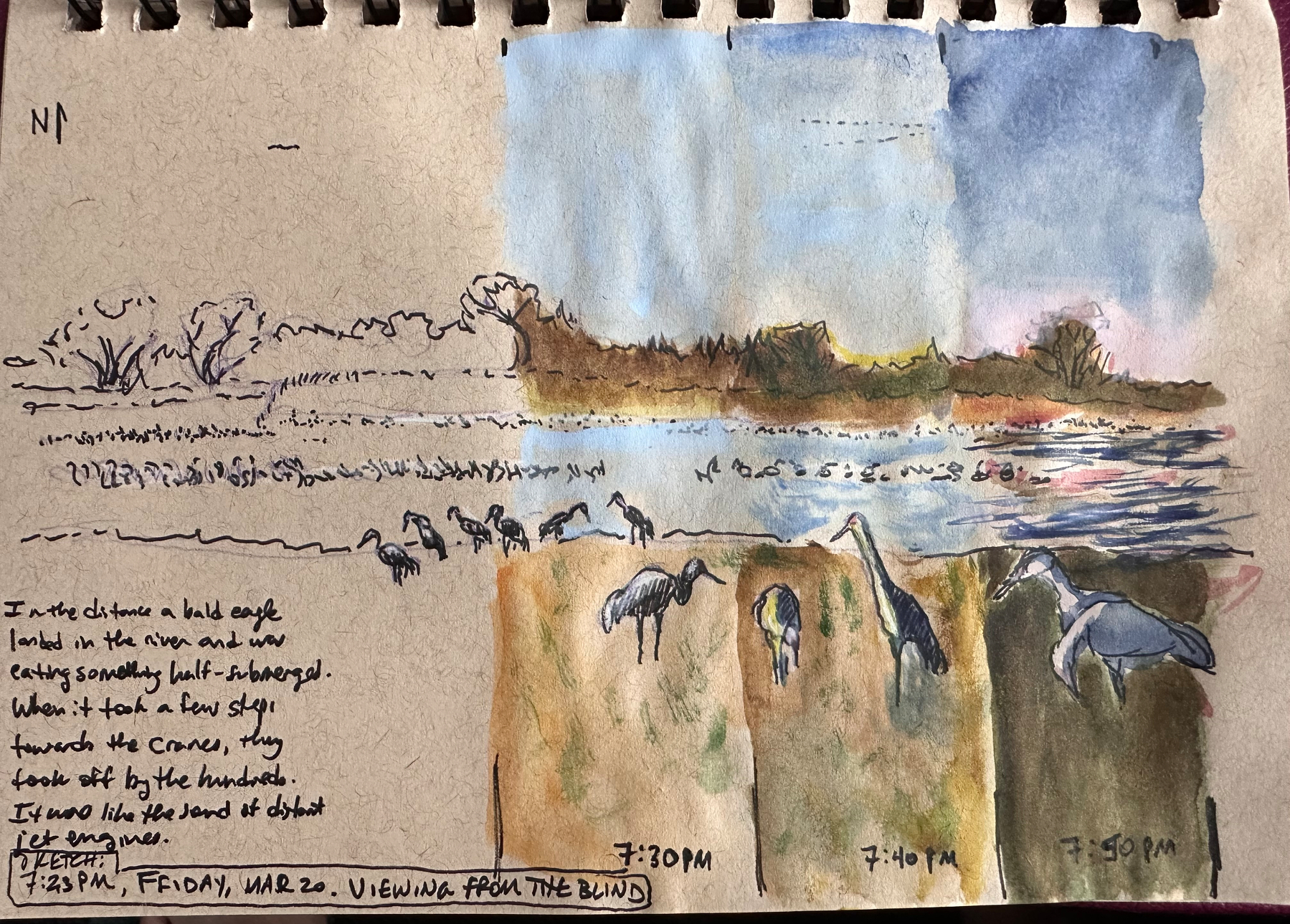 A watercolor sketch depicts a serene riverside scene with birds, trees, and the water's reflection under a colorful sky.