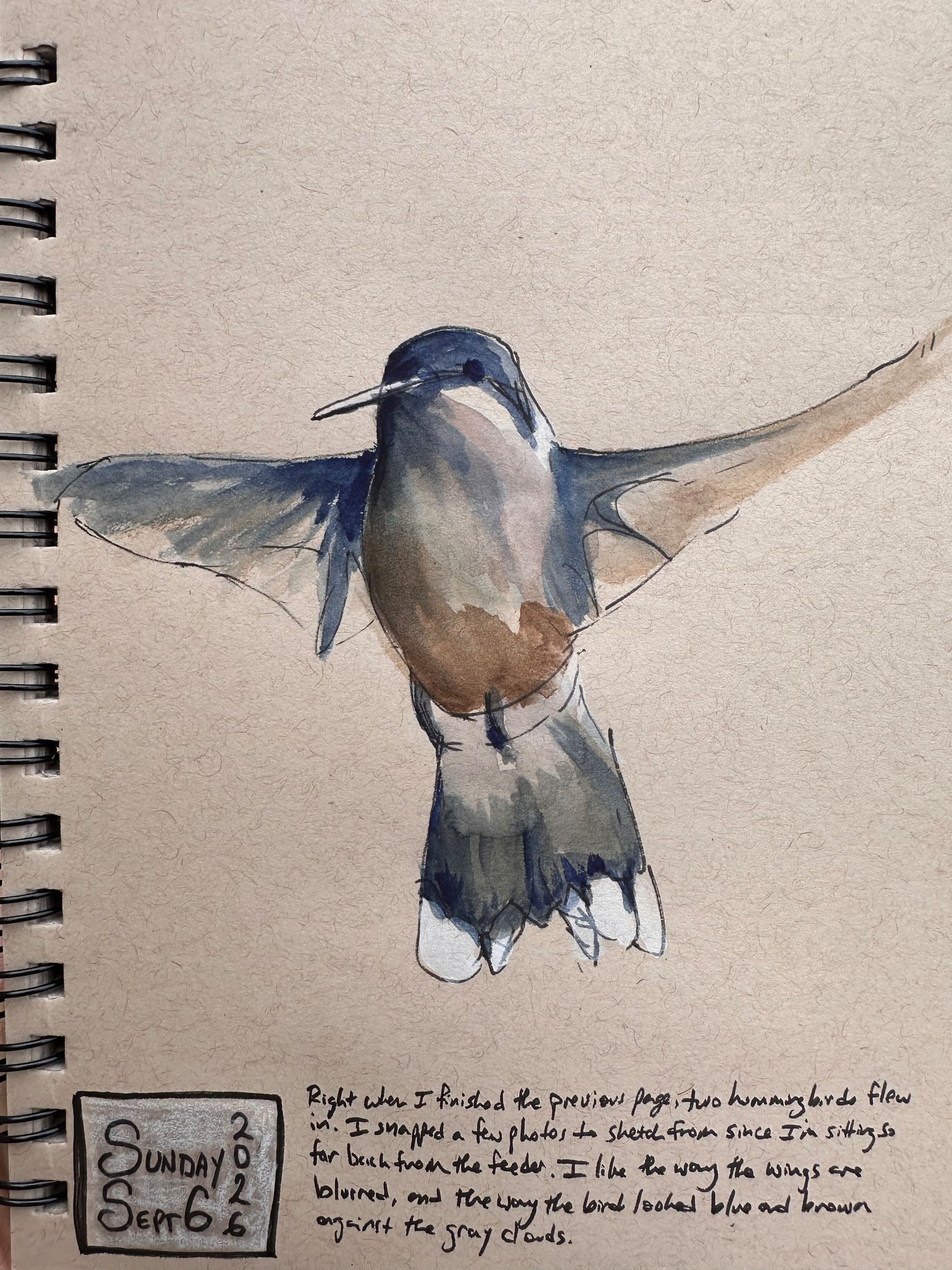 A watercolor painting of a hummingbird in flight is depicted on a textured paper with a handwritten note and date included in the corner.