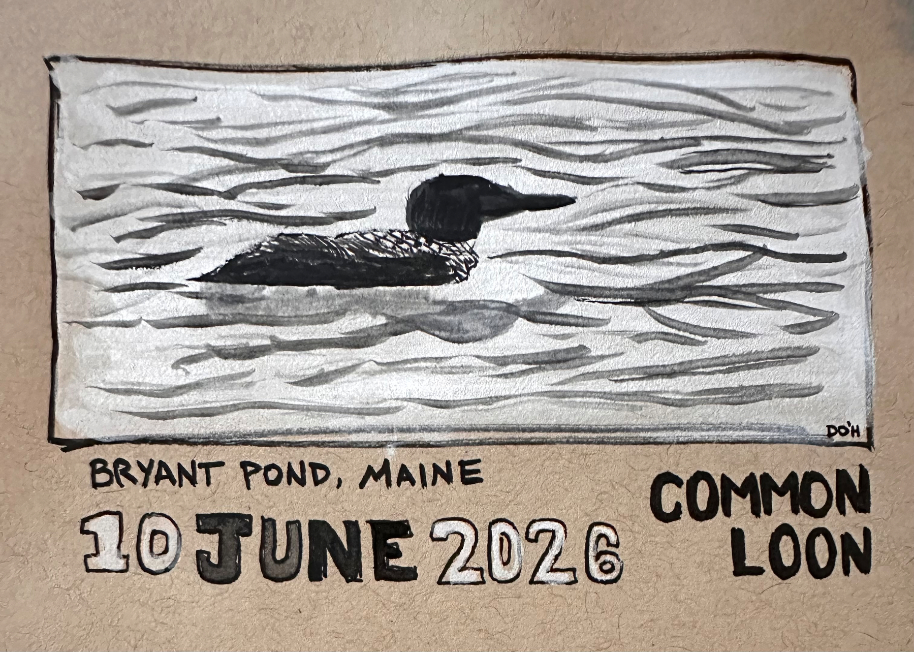 A black-and-white drawing depicts a common loon swimming in water, with text indicating Bryant Pond, Maine, the date 10 June 2026, and the bird's name.