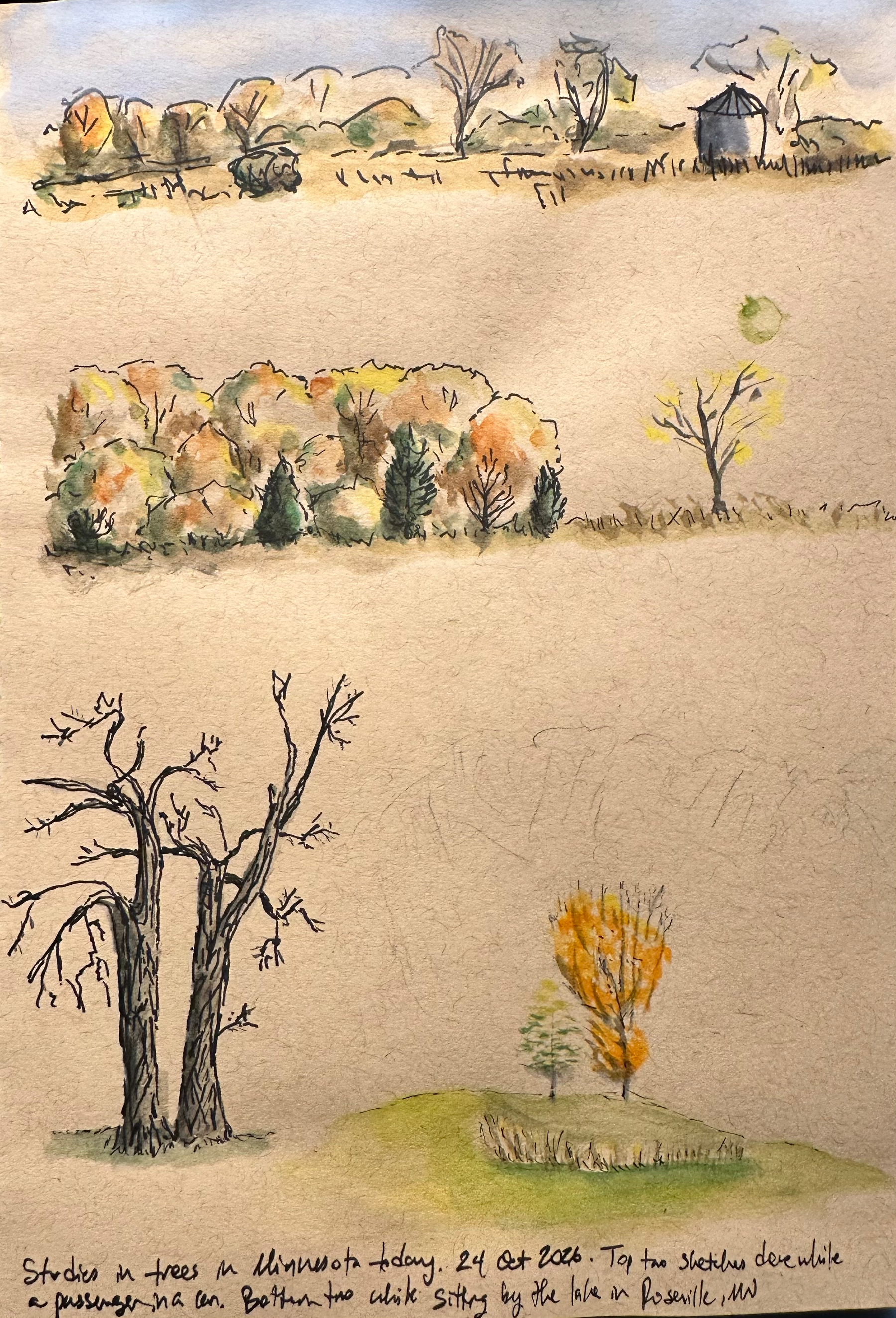Three separate autumnal tree and landscape sketches are depicted on a textured paper, featuring various trees, grassy areas, and a grain silo in the background, with handwritten notes at the bottom detailing locations and dates.