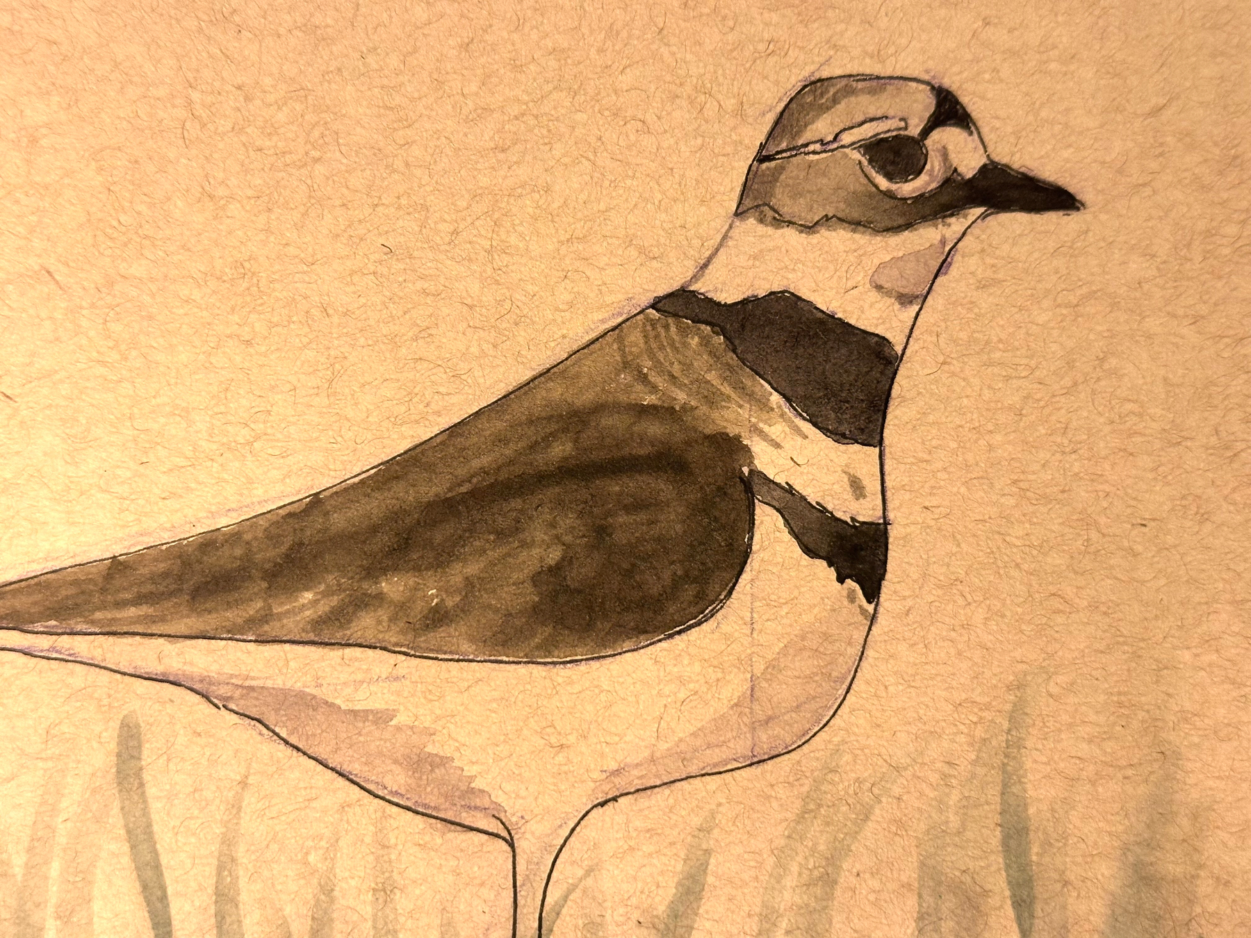 A watercolor painting of a bird standing in grass features muted earthy tones and subtle shading.