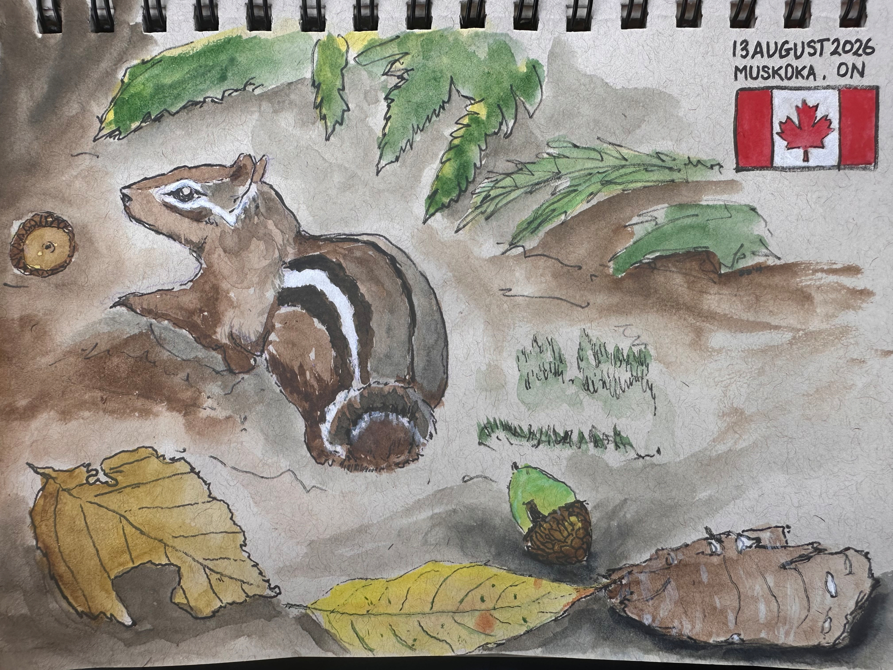 A watercolor painting depicts a chipmunk surrounded by leaves, an acorn, and some bark, with a Canadian flag and the date 13 August 2026 along with the location Muskoka, ON written in the corner.
