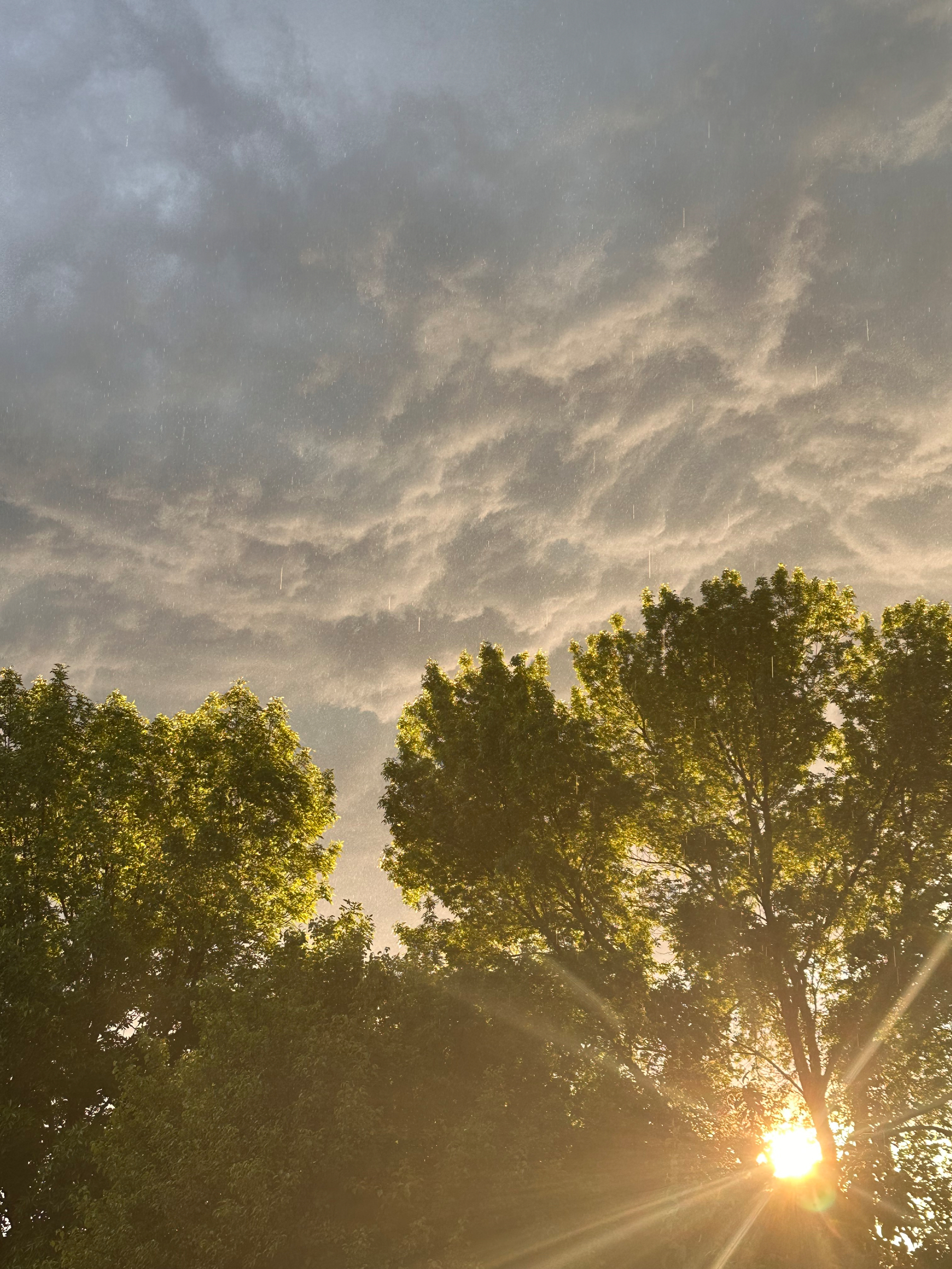 A vibrant sunset shines through the trees under a dramatic, cloud-filled sky.