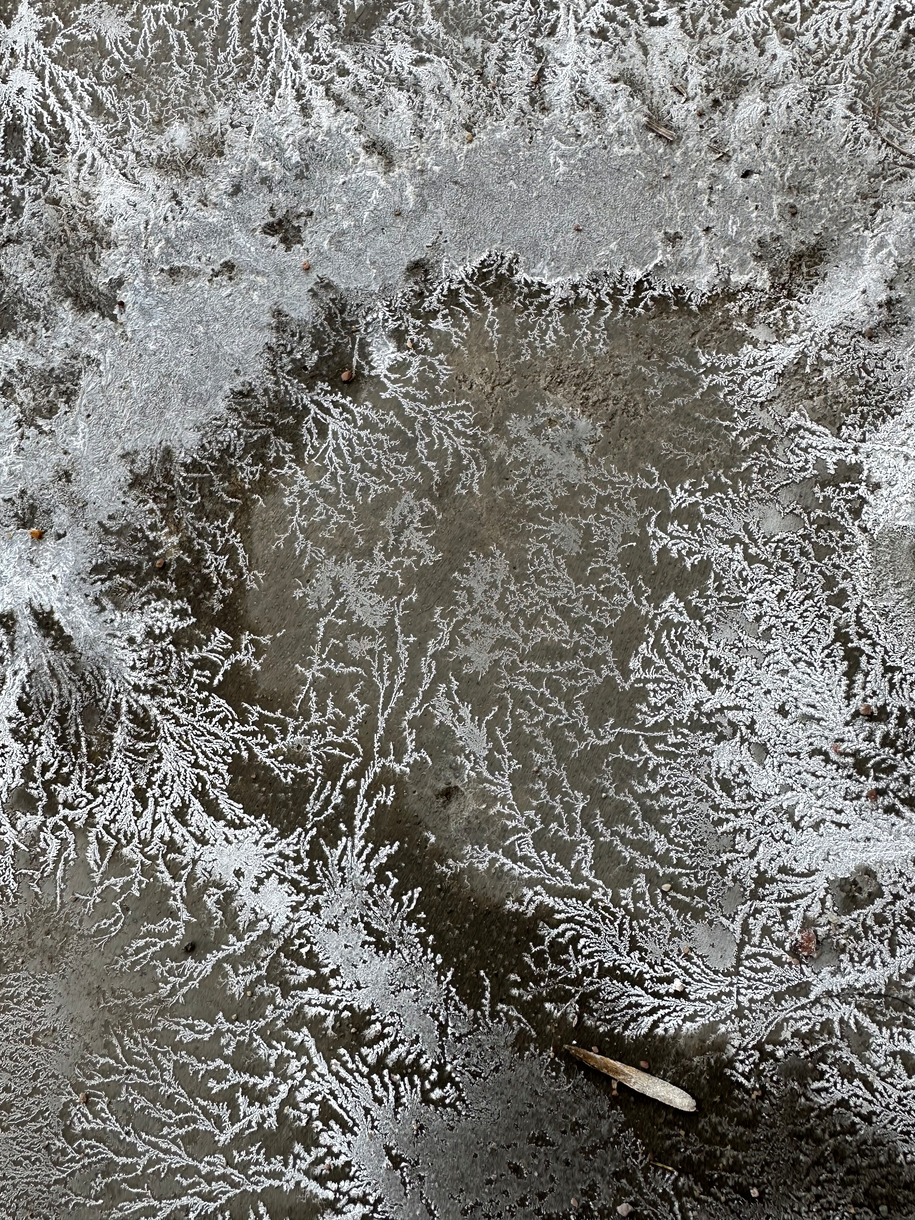A frosty pattern resembling delicate, intricate tendrils is formed on a cold, possibly icy surface.