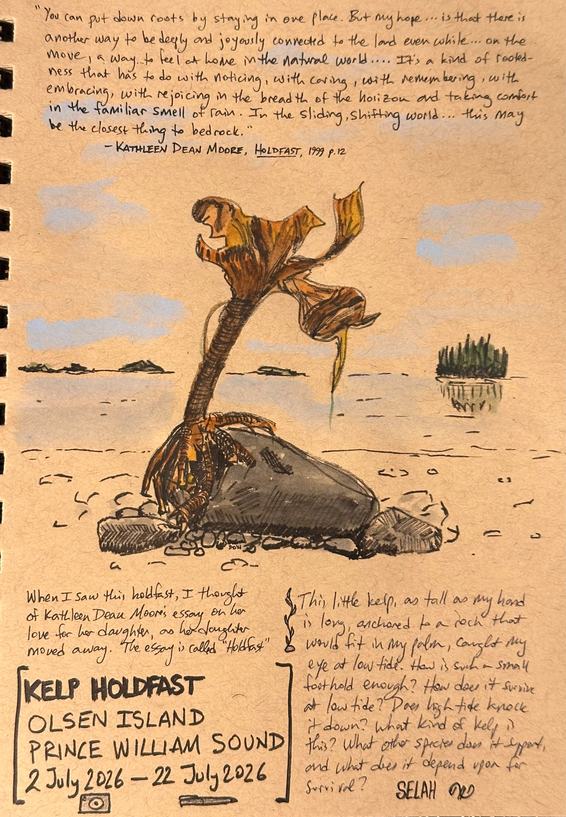 A sketch of a piece of kelp anchored to a rock on Olsen Island is surrounded by handwritten reflections and a quote about connection to the land and nature, along with details about the location and date.