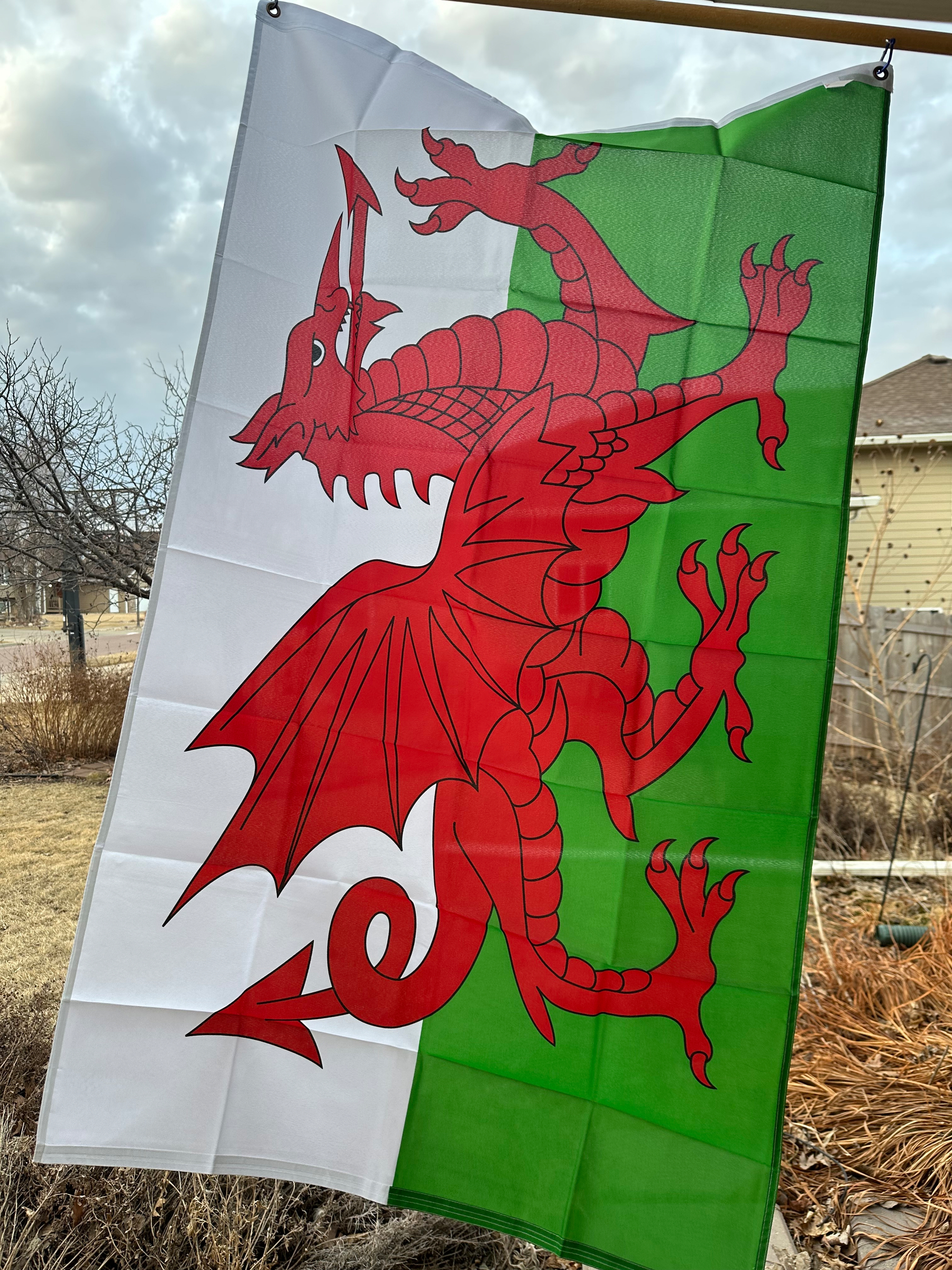 A welsh flag with the red dragon on a white and green background hangs from a flagpole in a suburban front porch. 